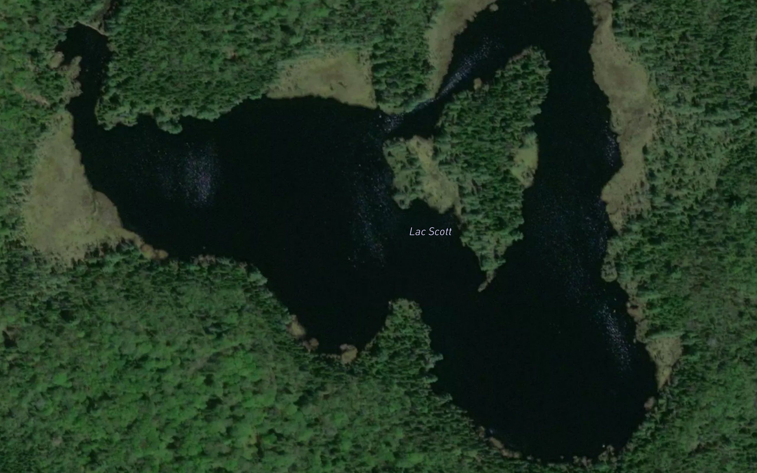 Lac Scott