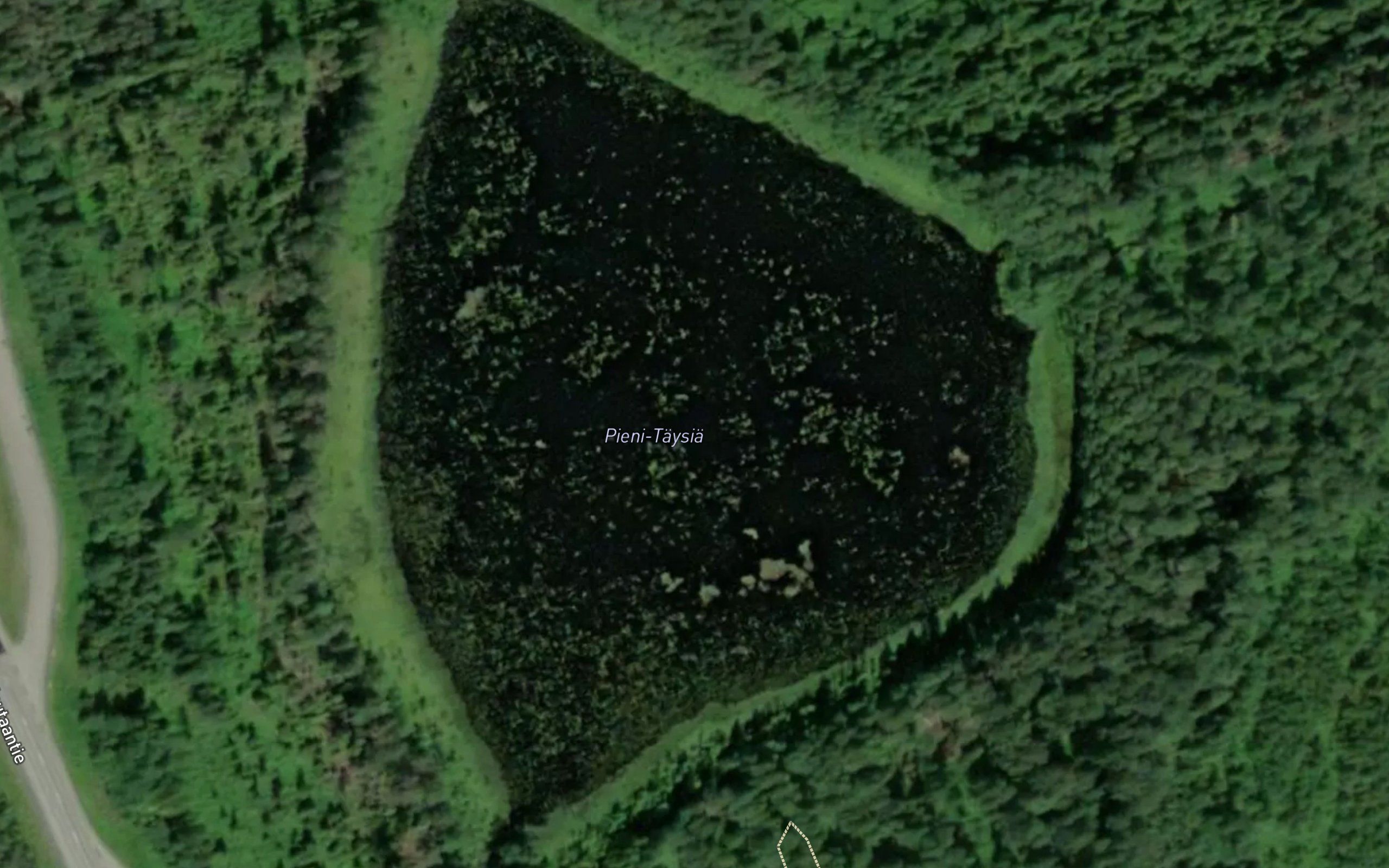 Pieni-Taysia