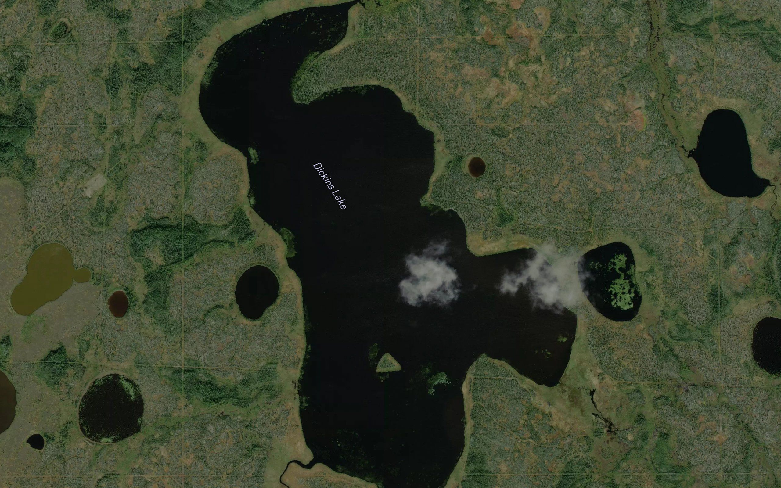 Dickins Lake