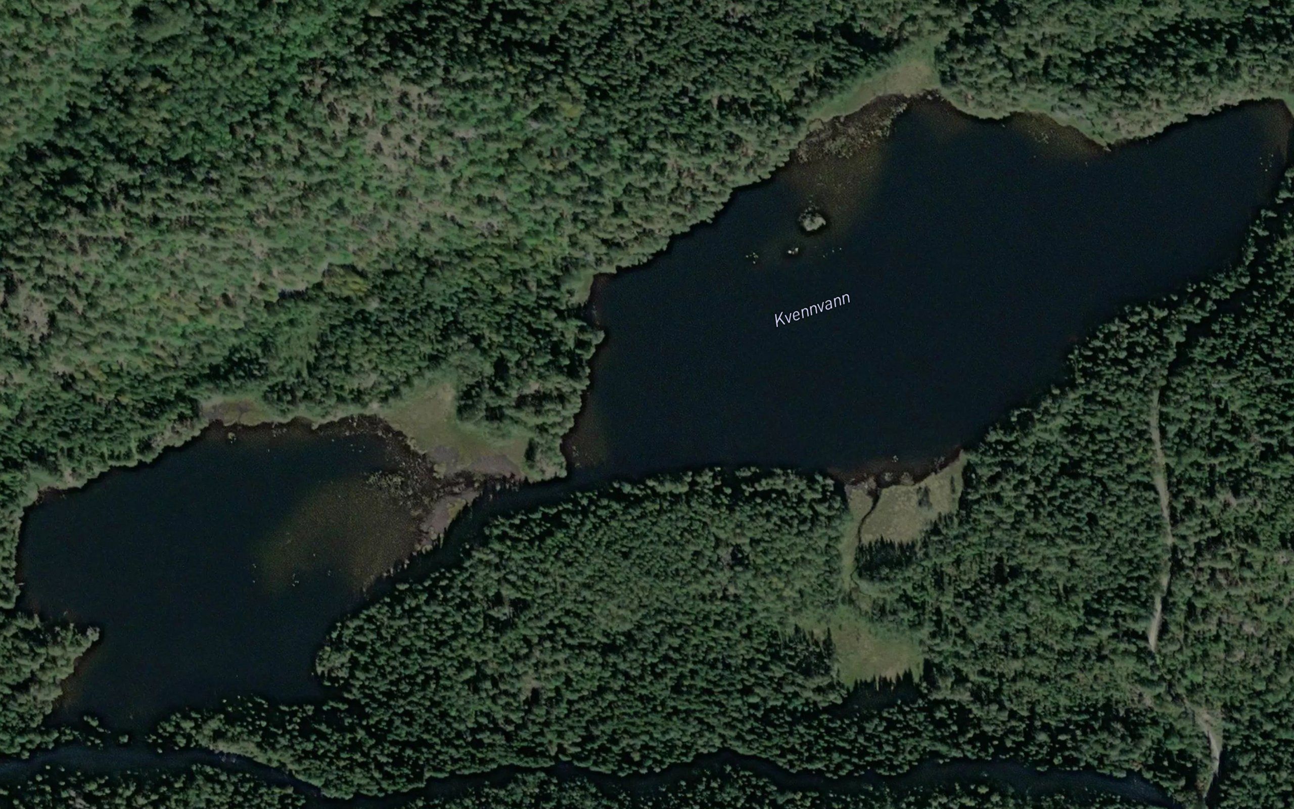Kvennvann