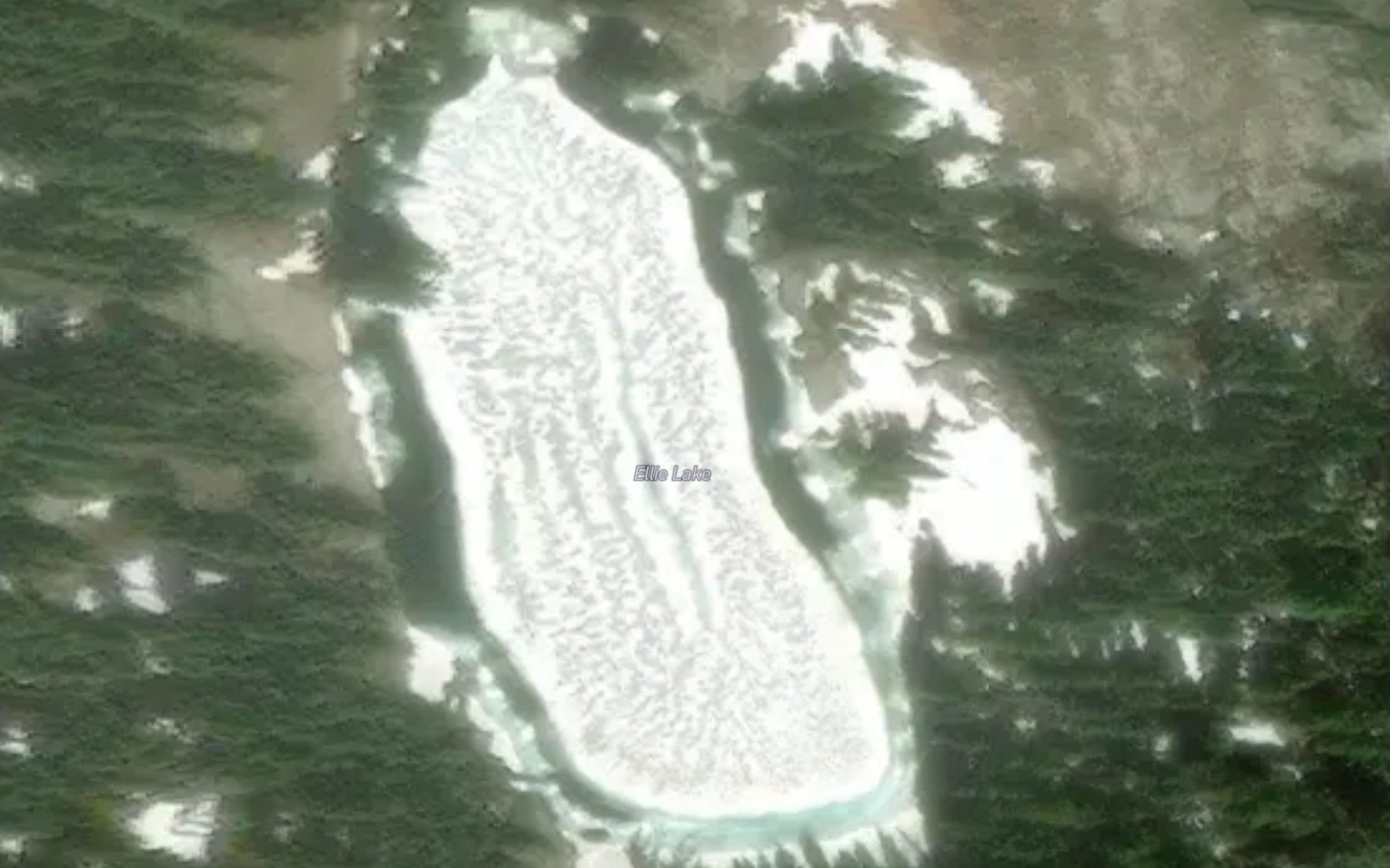 Ellie Lake