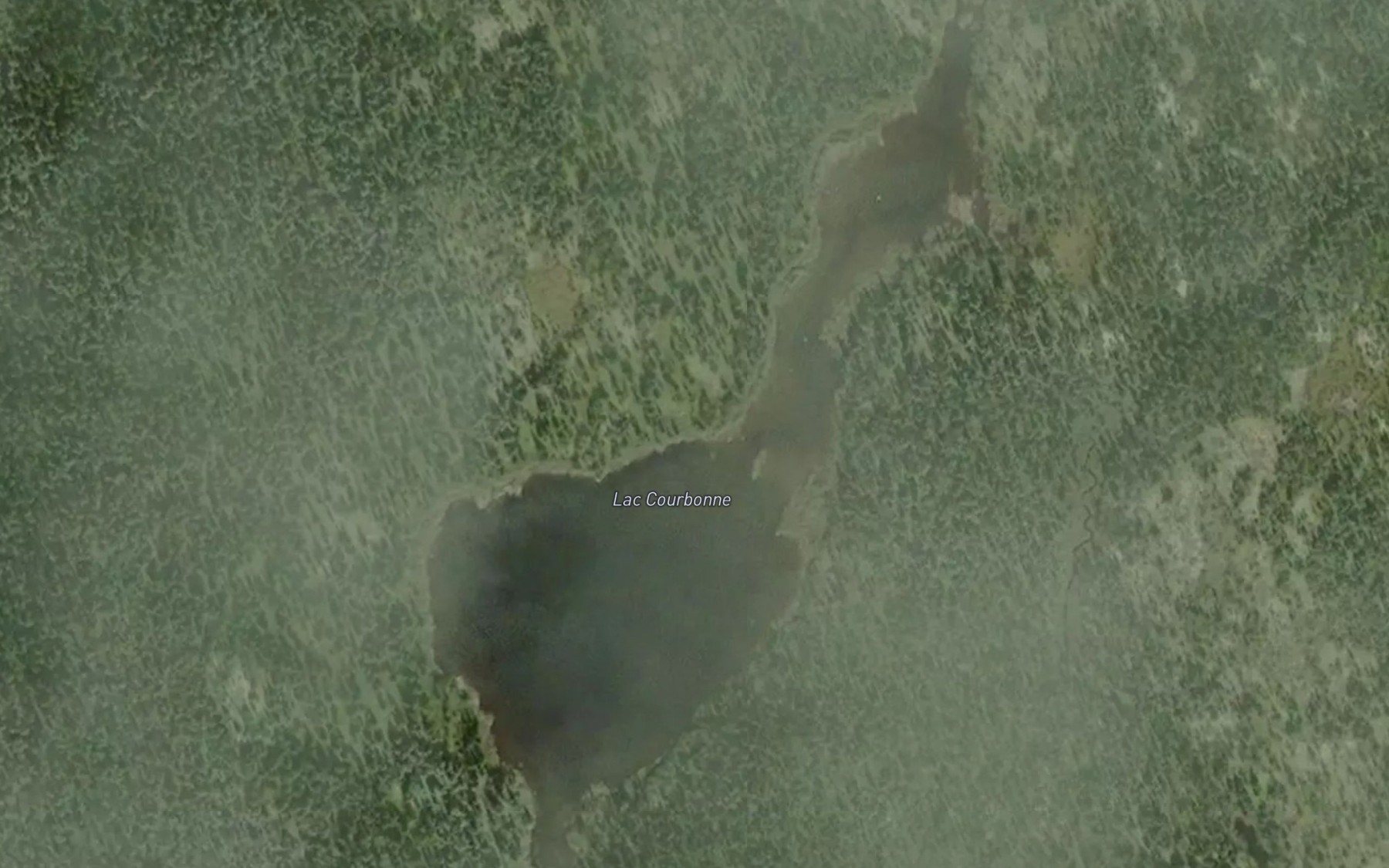 Satellite map of the Lac Courbonne