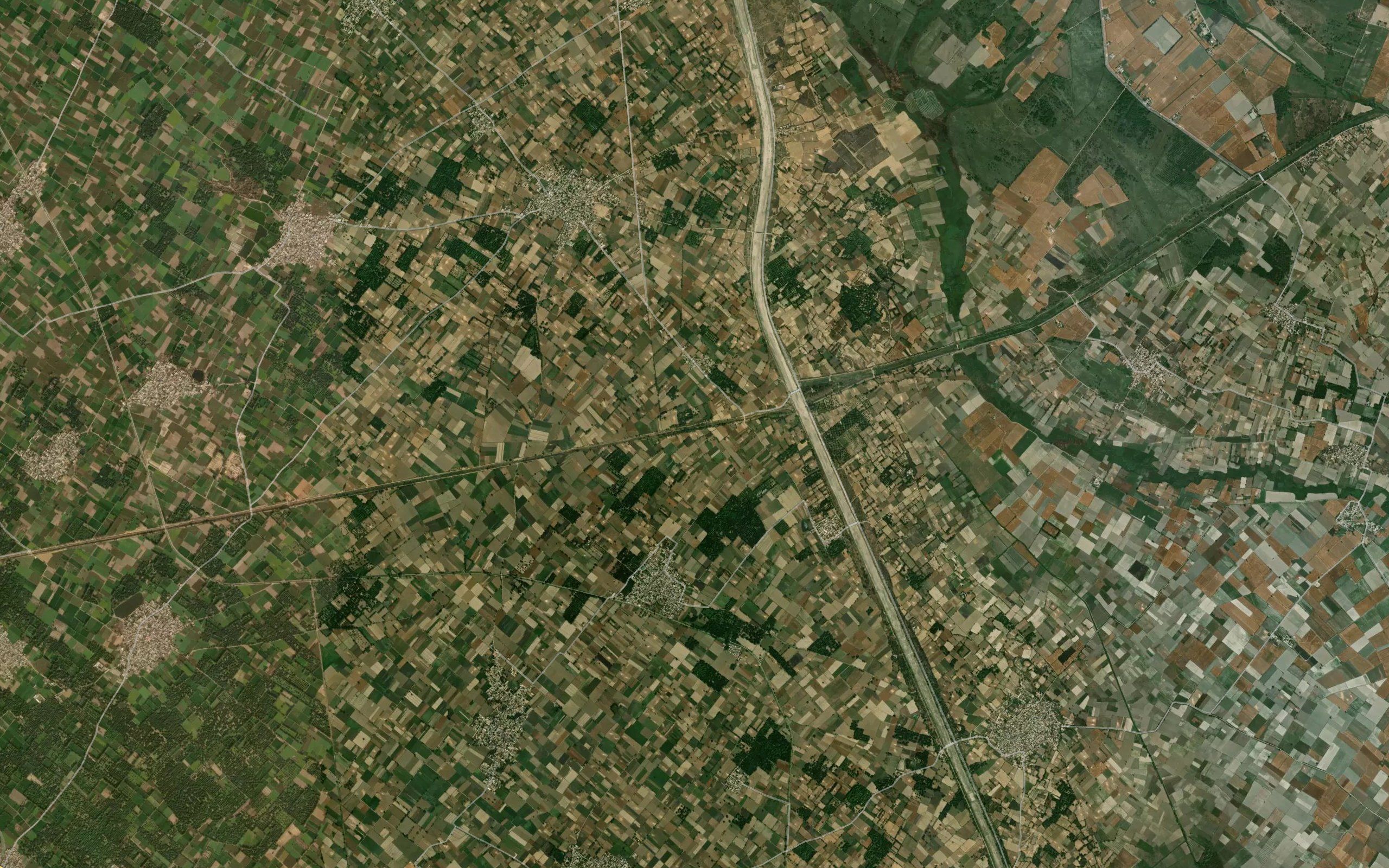 Asilpur Minor