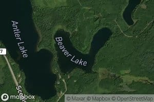 Beaver Lake