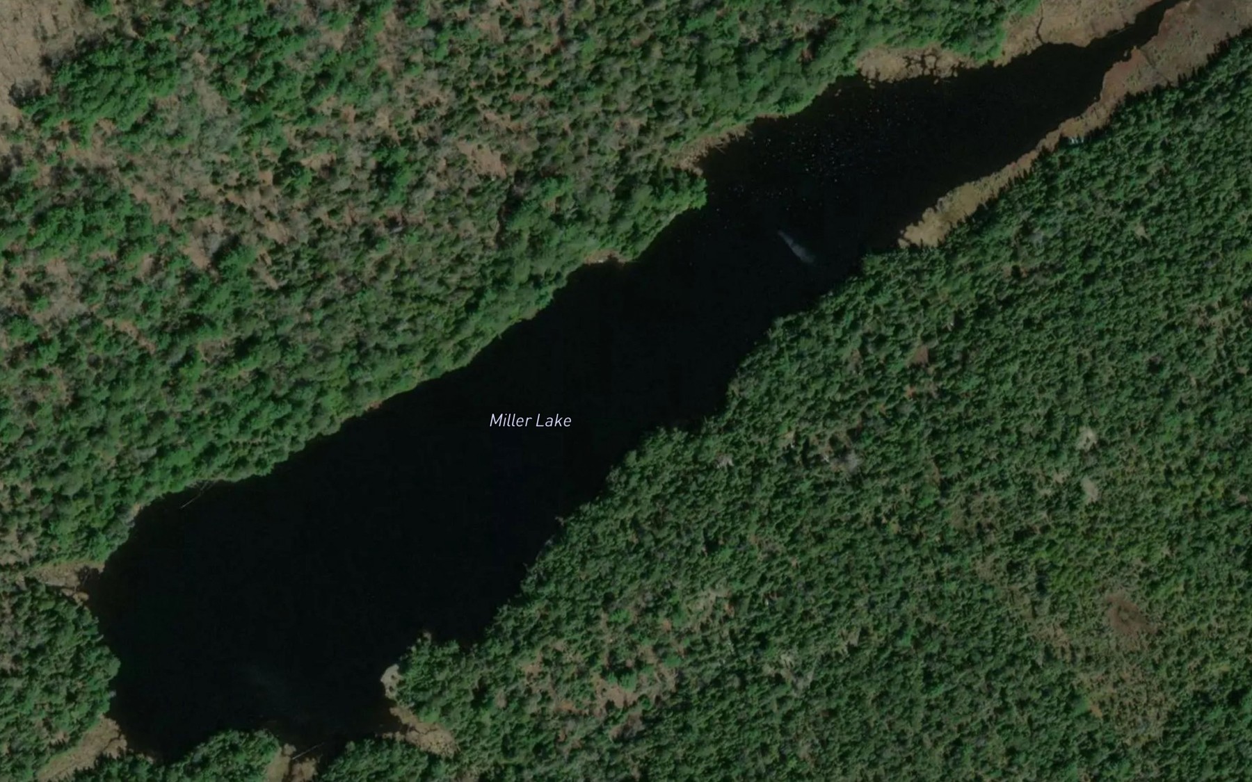 Satellite map of the Miller Lake