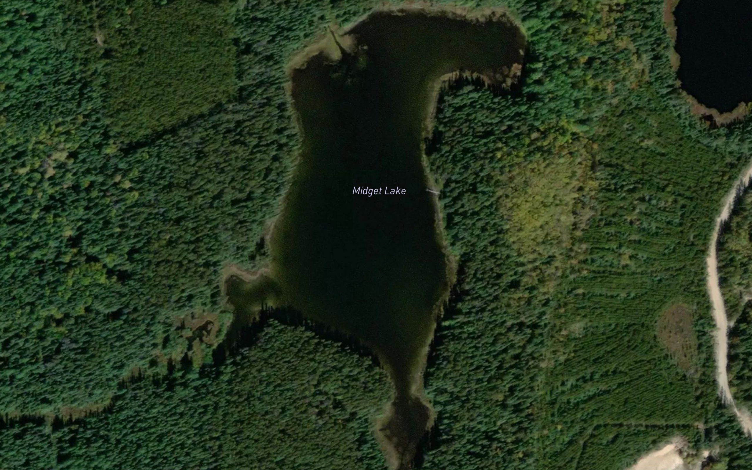 Midget Lake