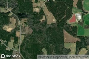 Little Pine Log Swamp