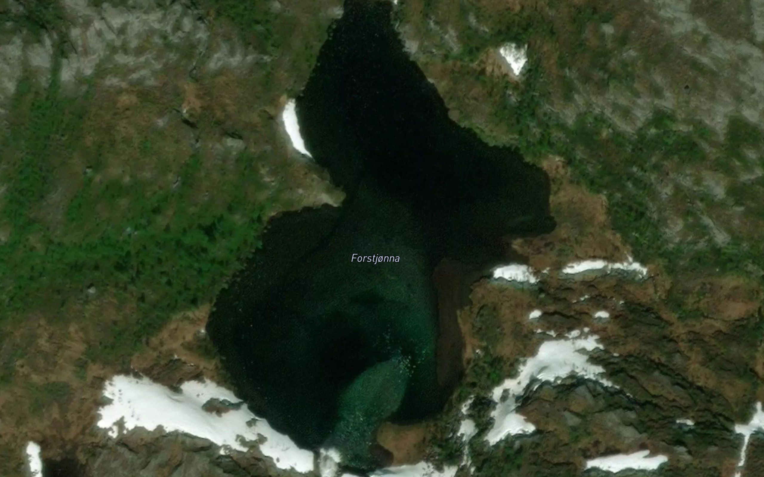 Forstjorna
