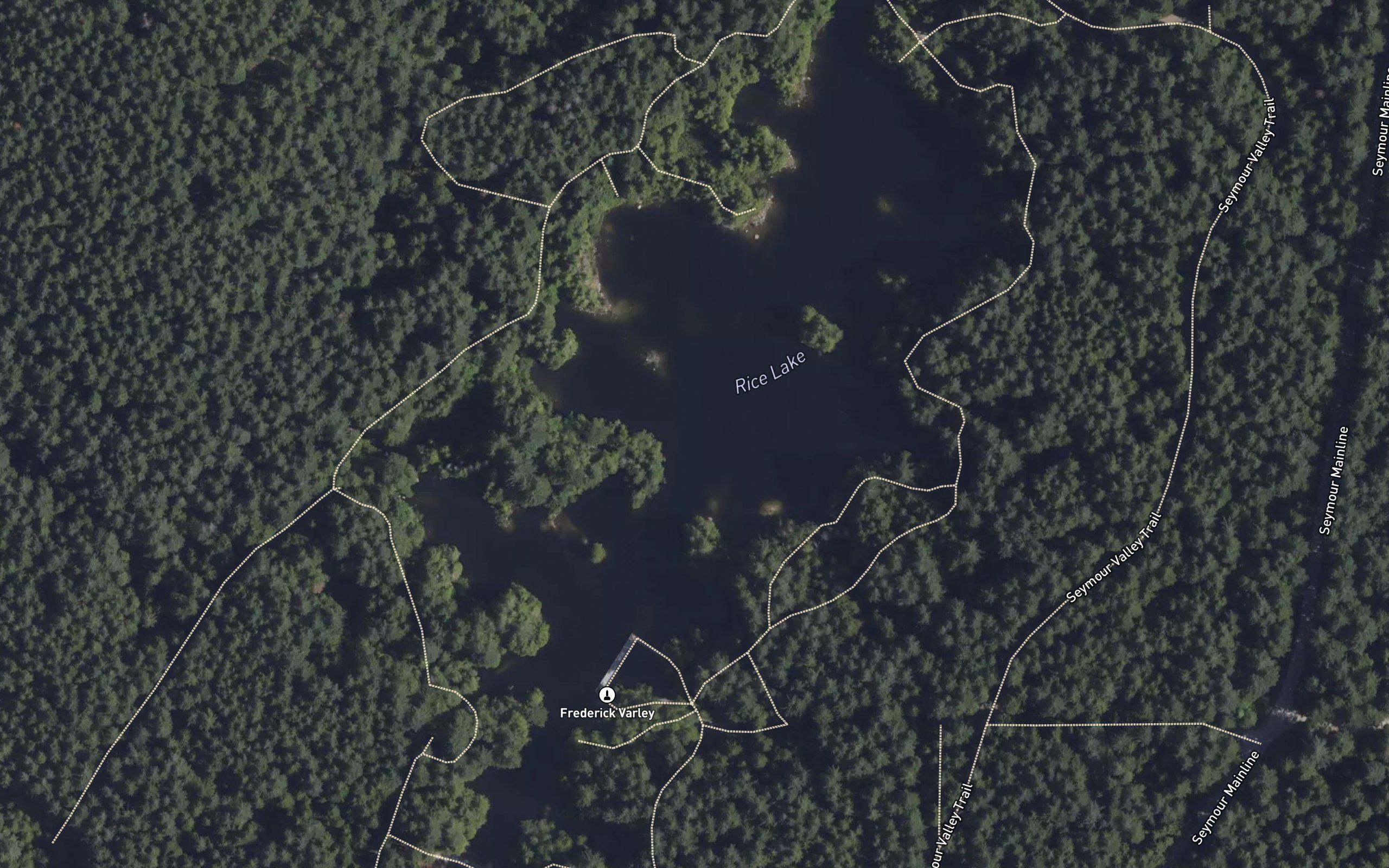 Rice Lake