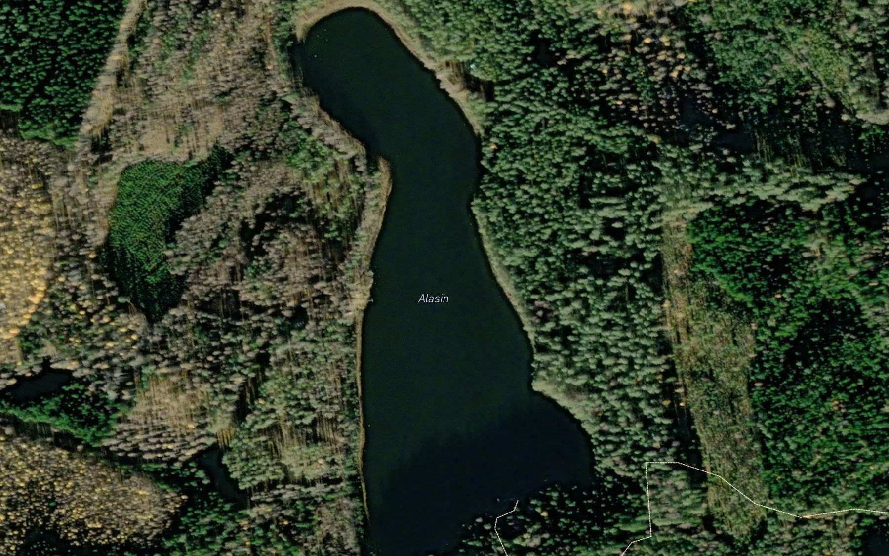 Satellite map of the Alasin