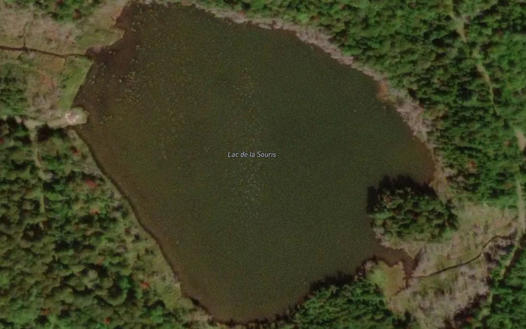 Satellite map of the Lac de la Souris