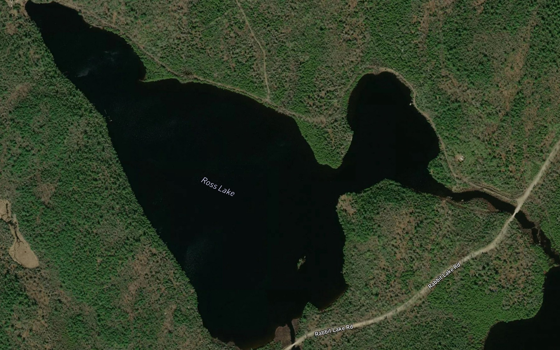 Satellite map of the Ross Lake