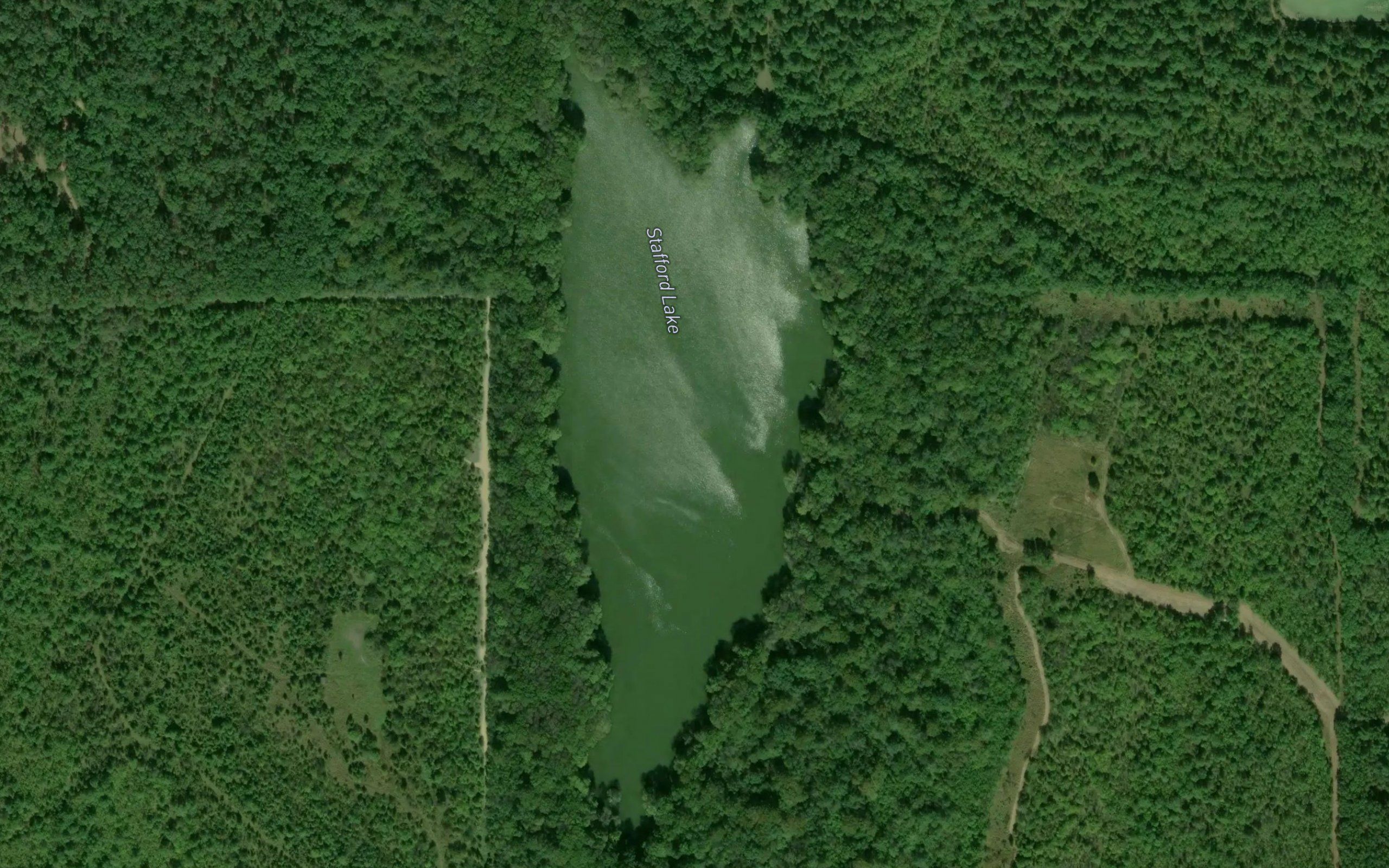 Stafford Lake