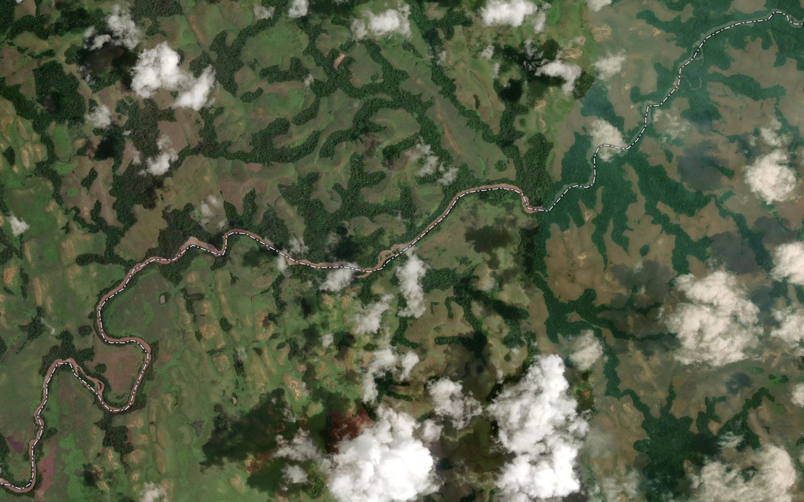 Fungugi