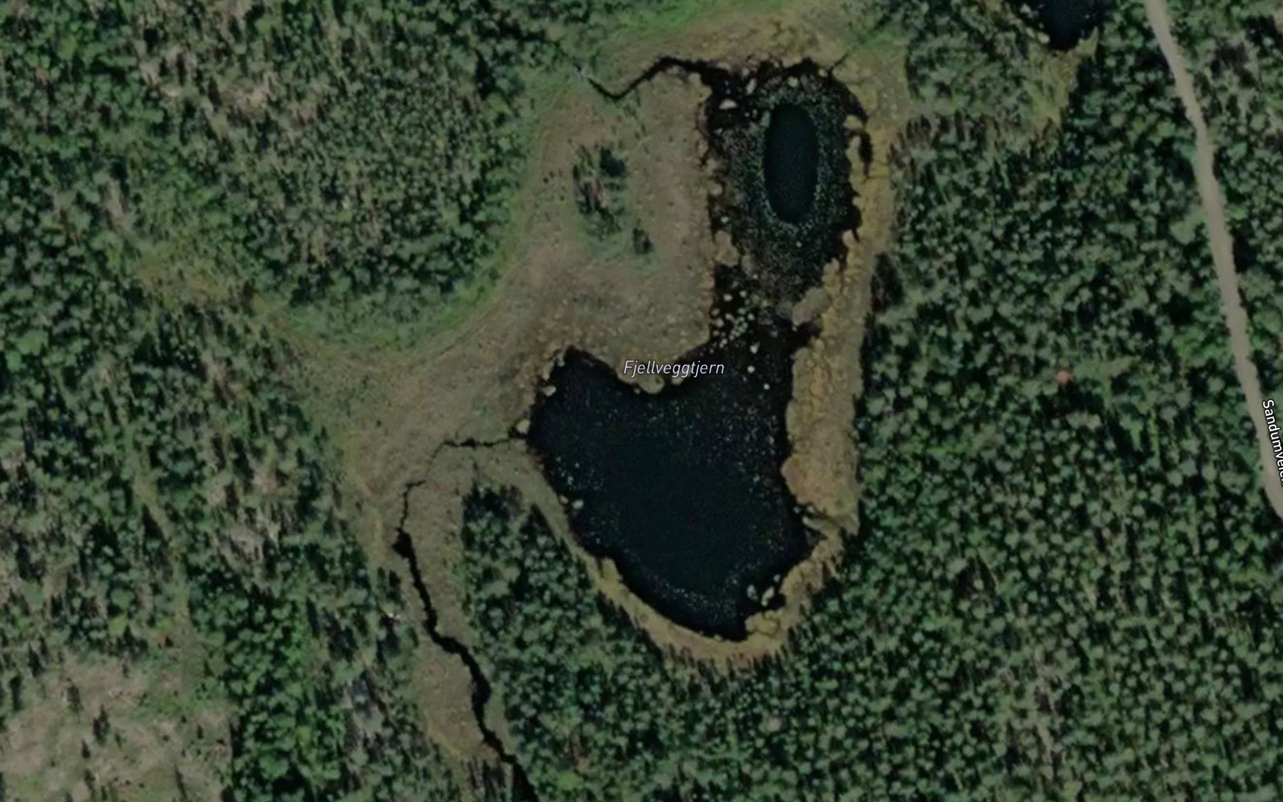 Fjellveggtjern