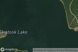 Lily Pad Lake