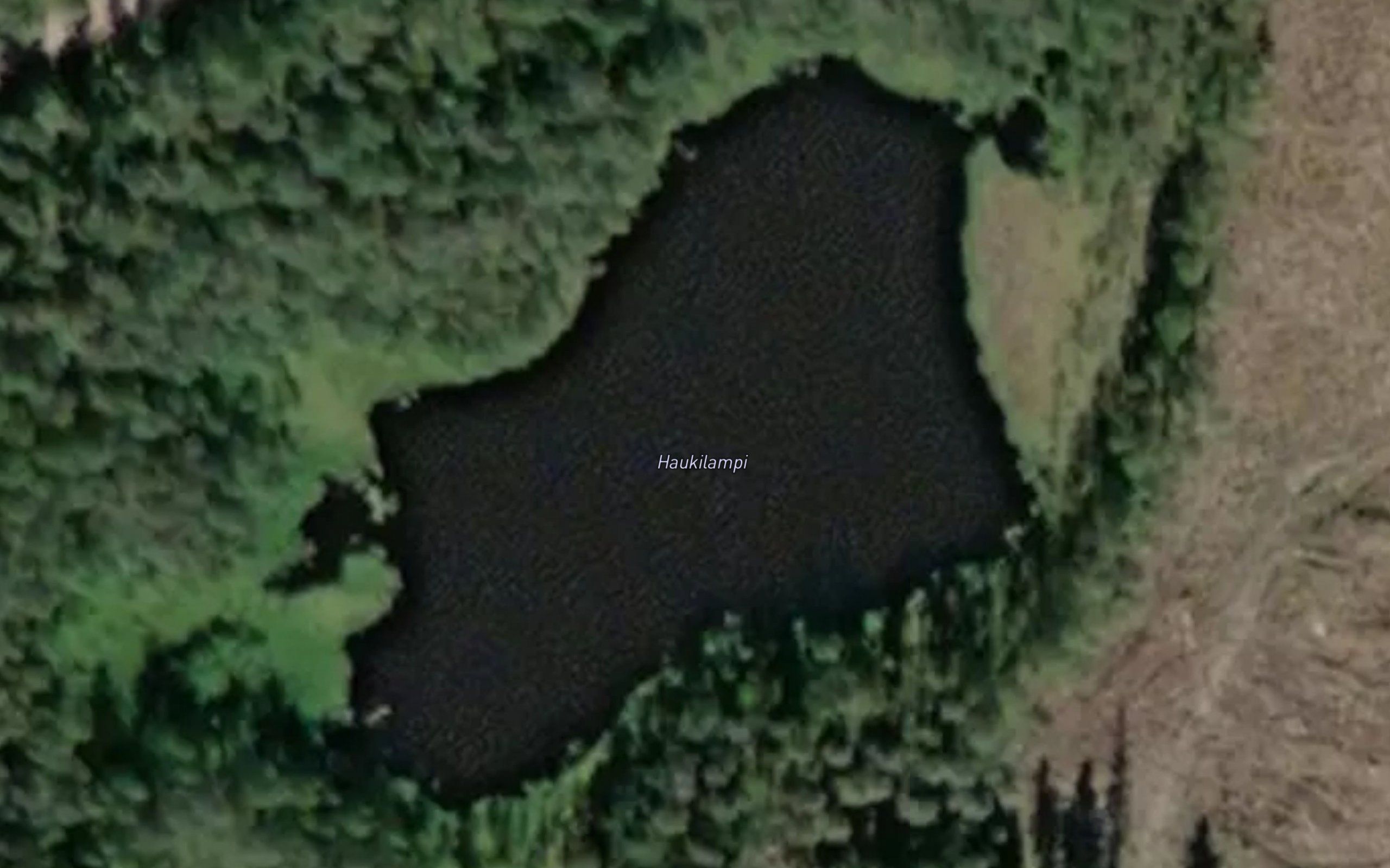 Hauklampi