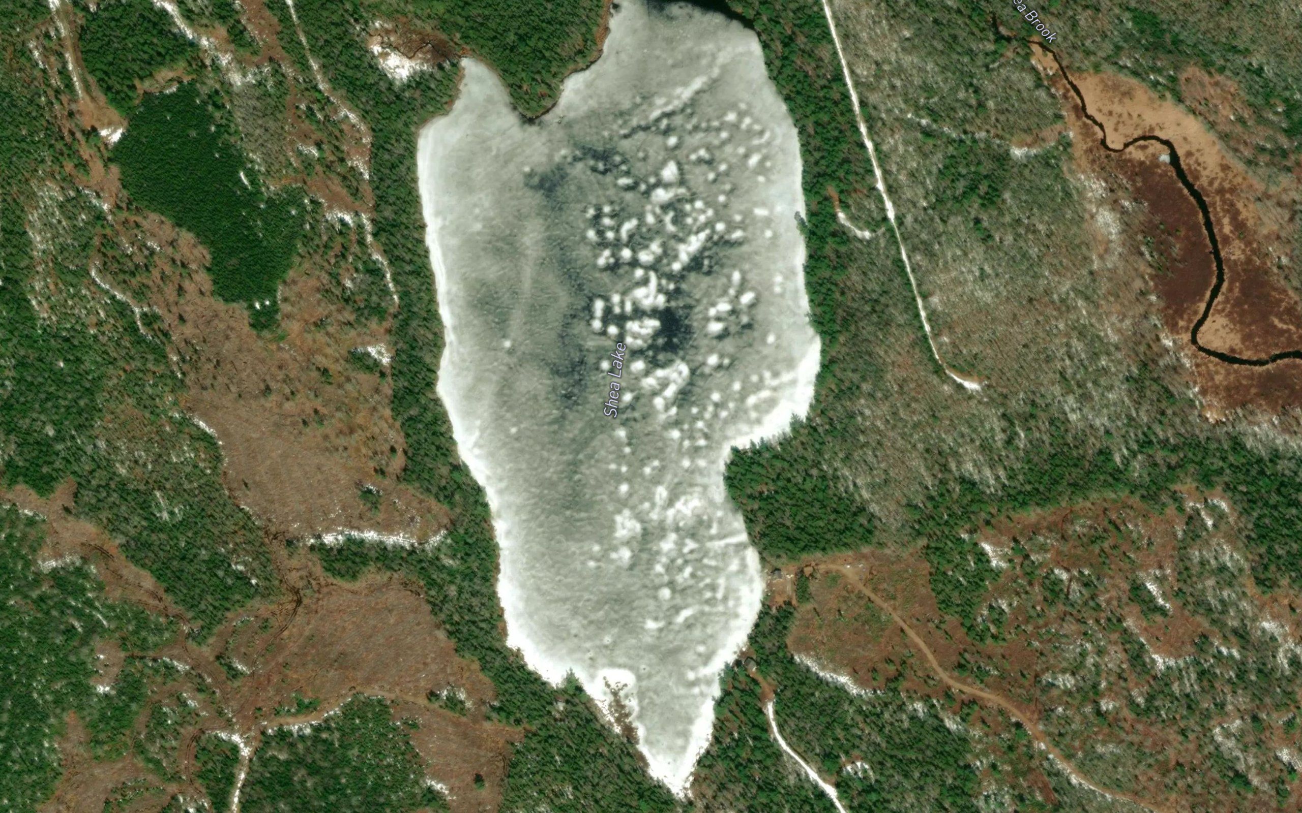 Shea Lake