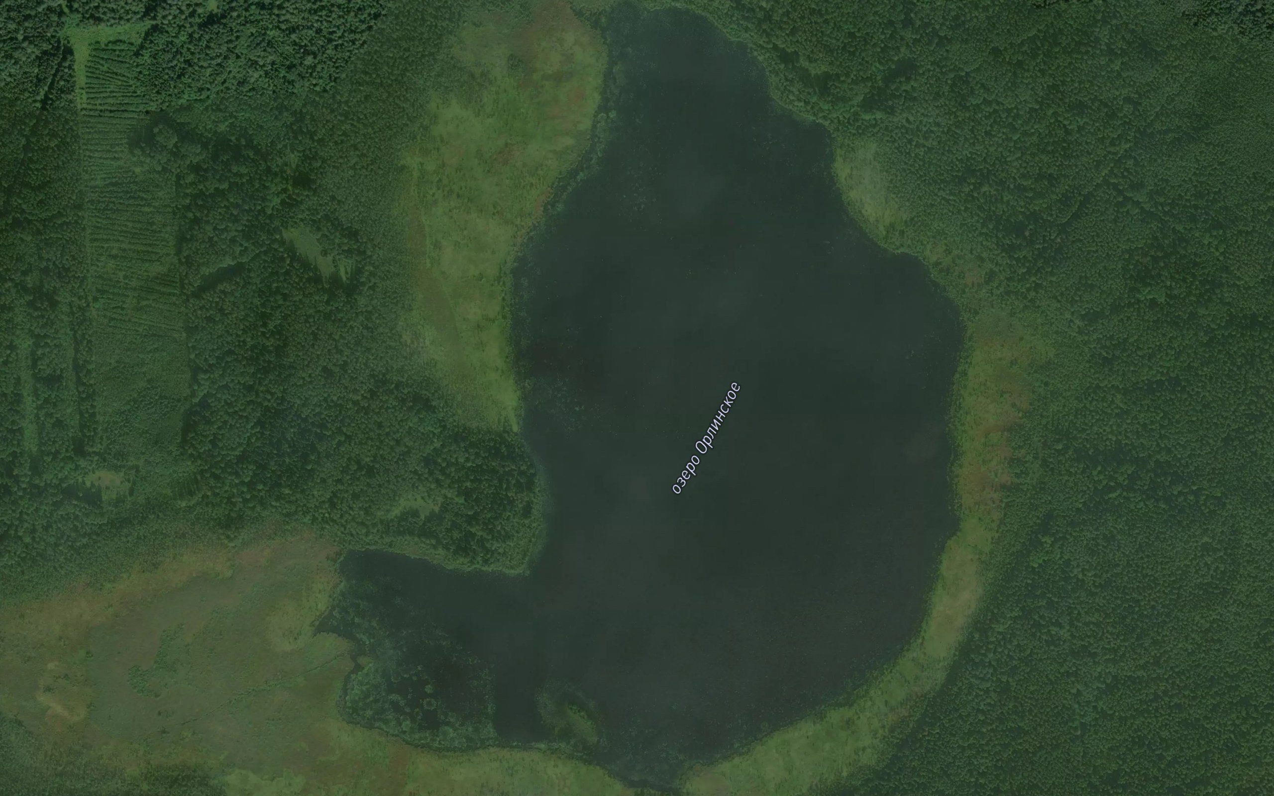 Orlinskoye Ozero