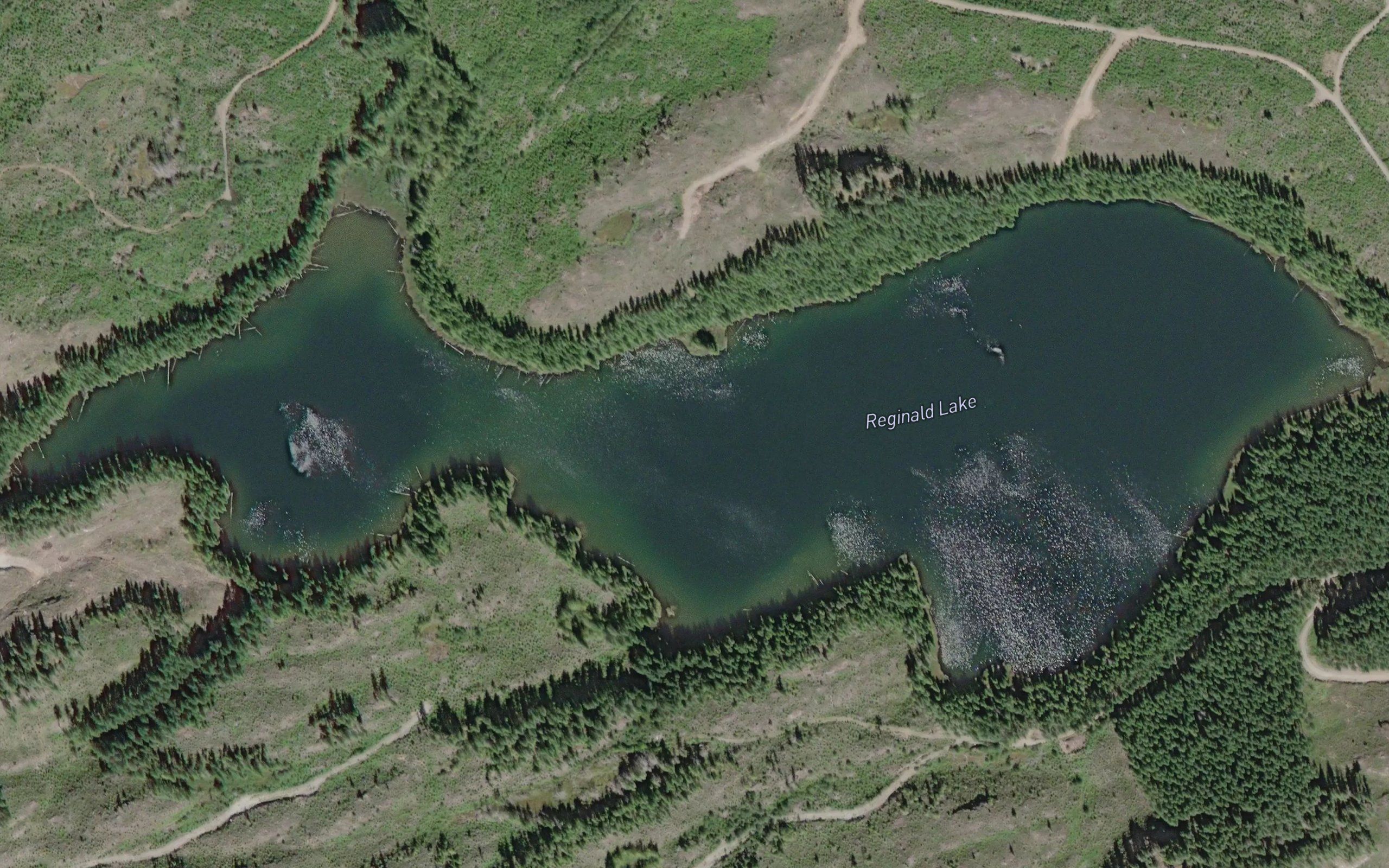 Reginald Lake