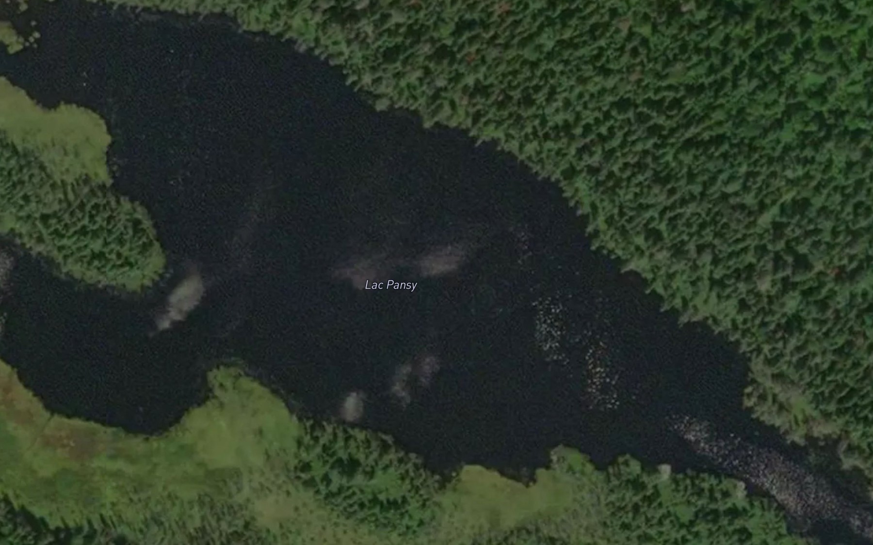 Satellite map of the Lac Pansy