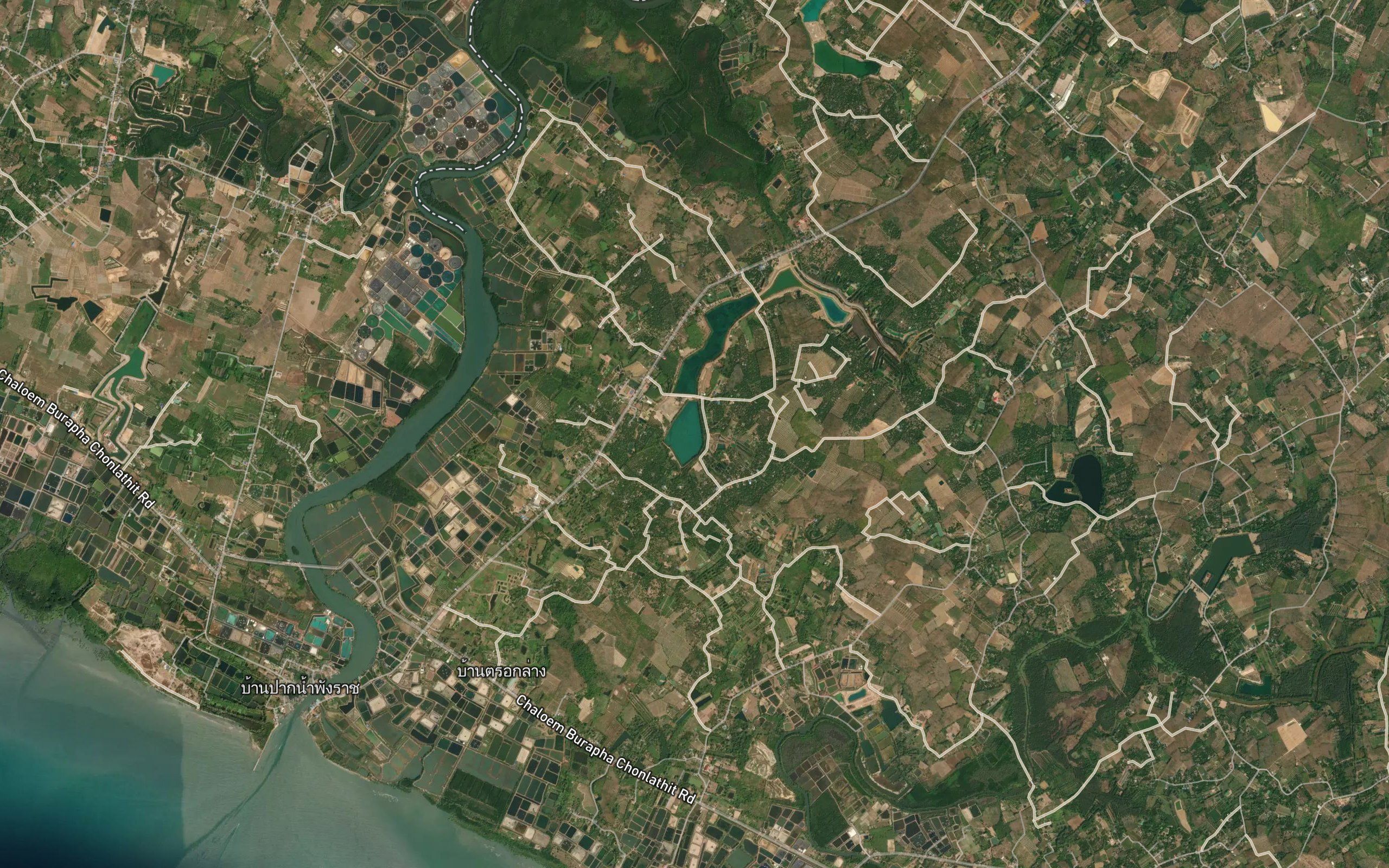 Nong Sai