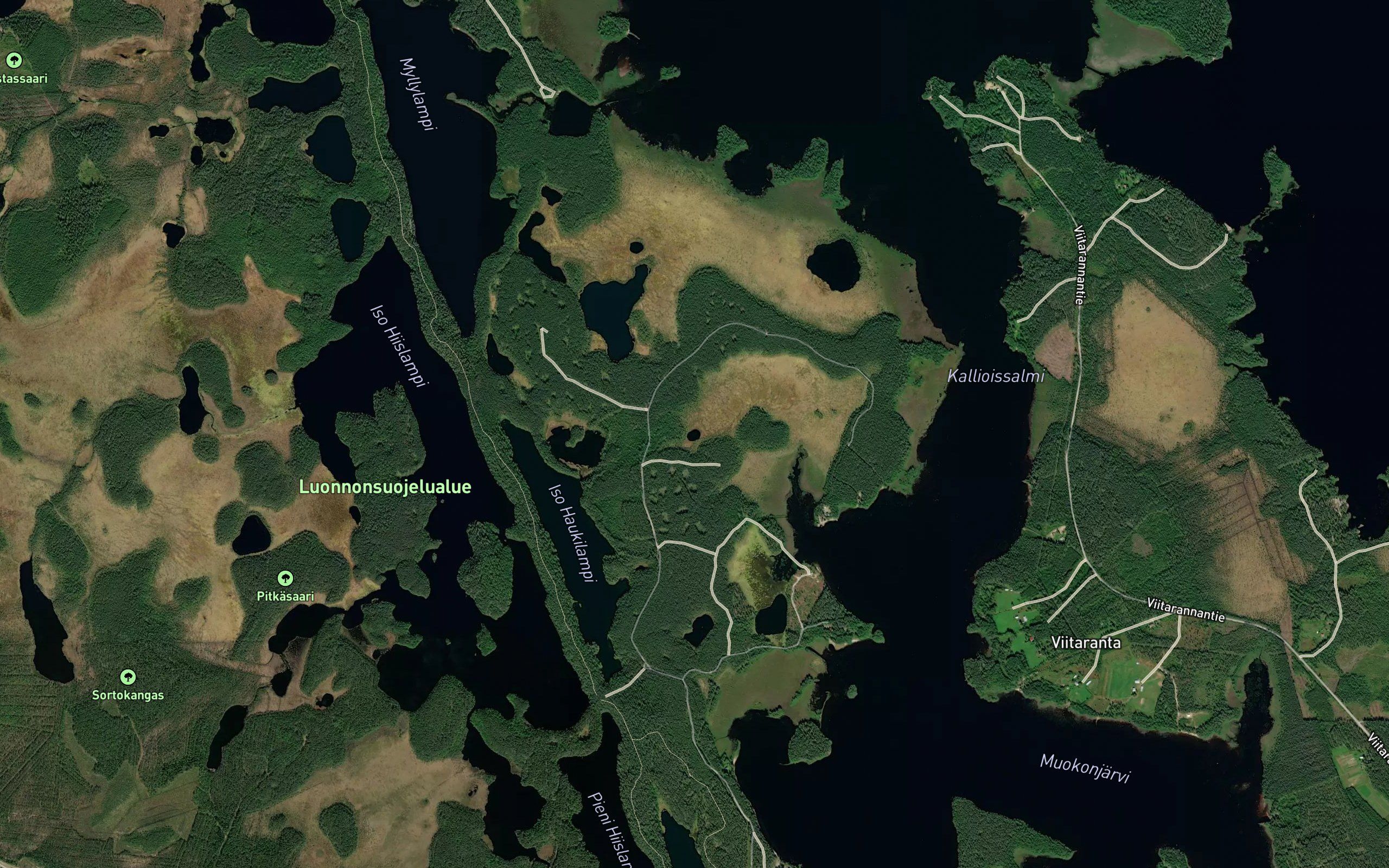 Kirppulampi