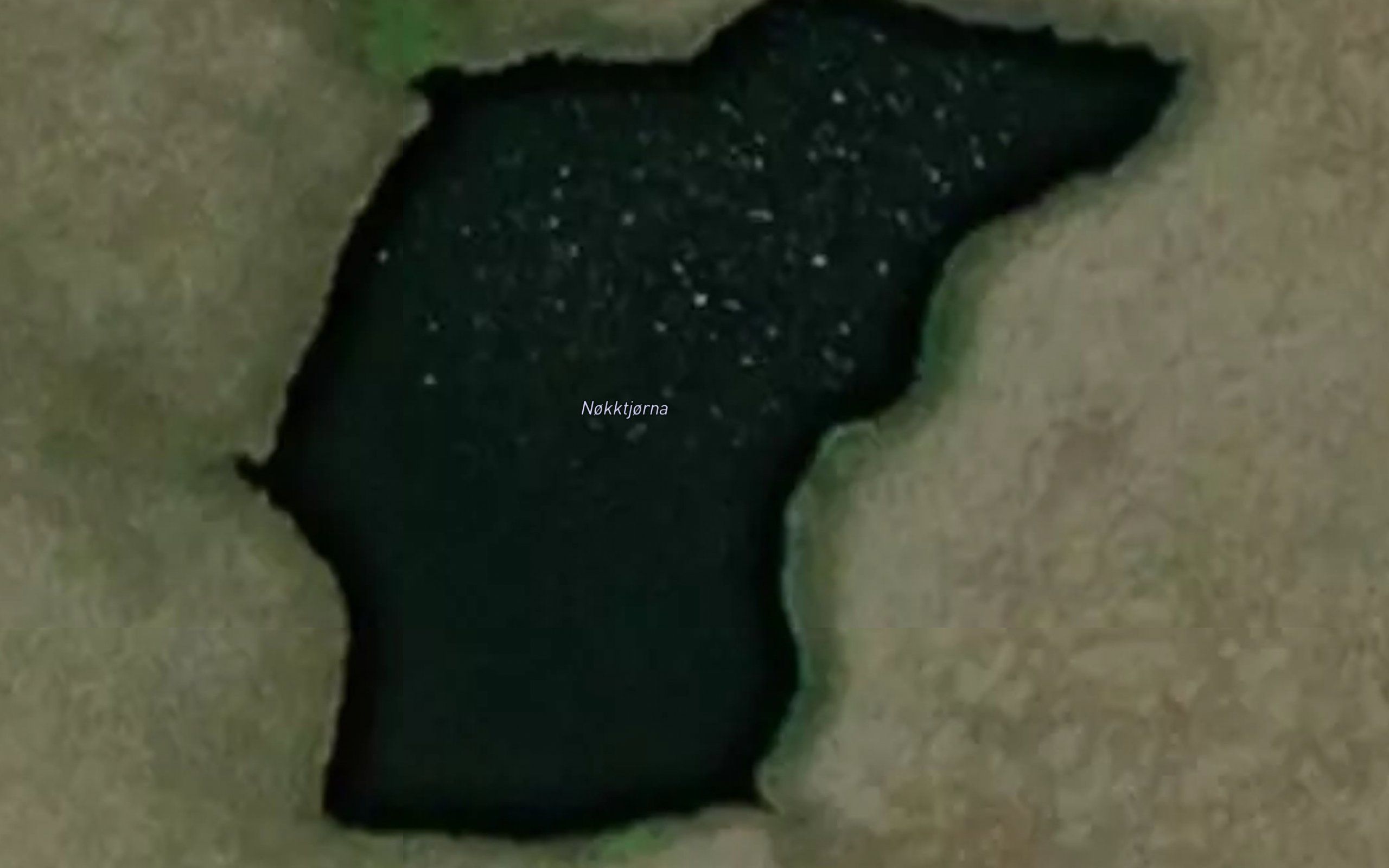 Nokktjorna