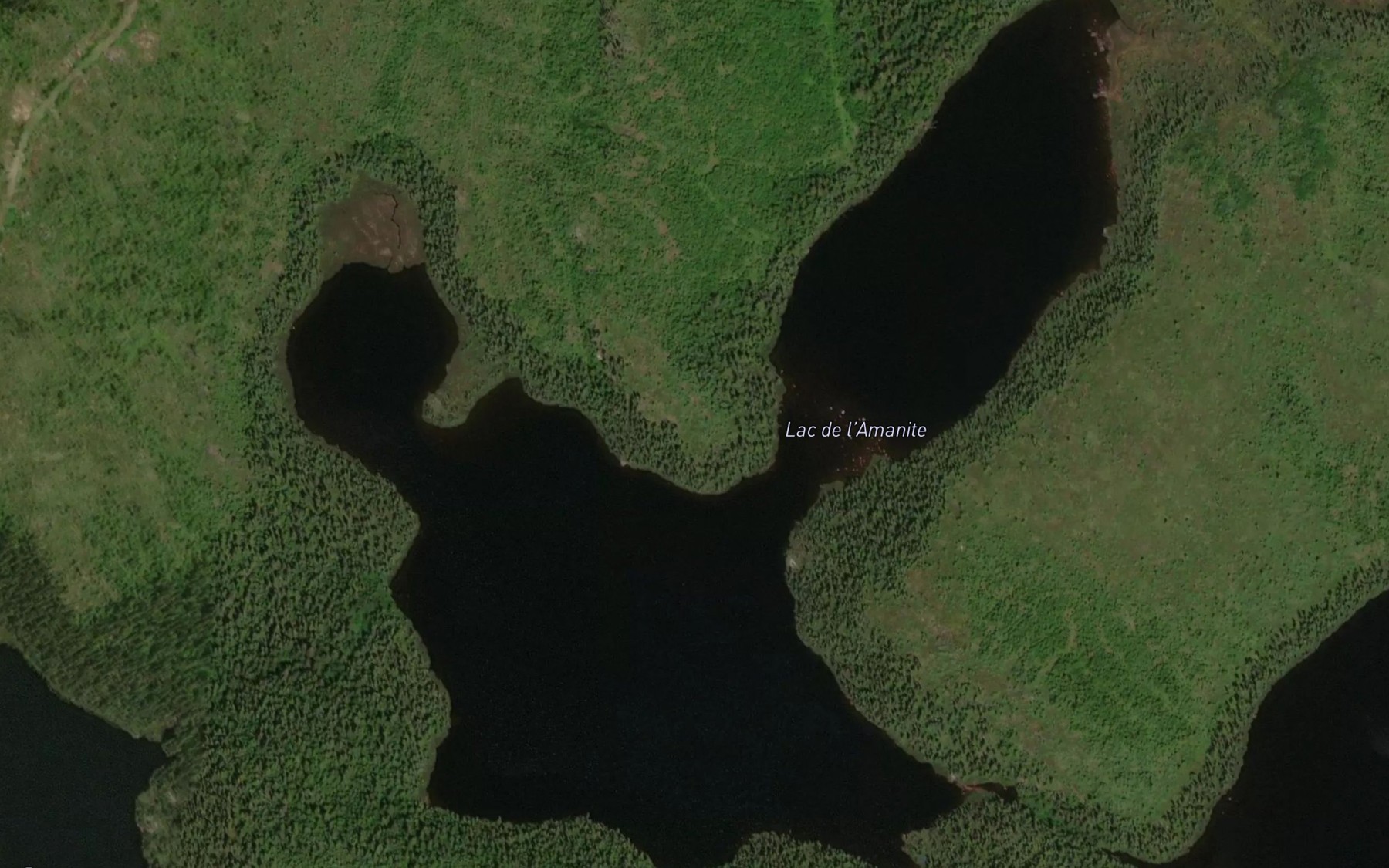 Satellite map of the Lac de l'Amanite