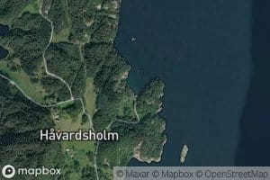 Drengavika