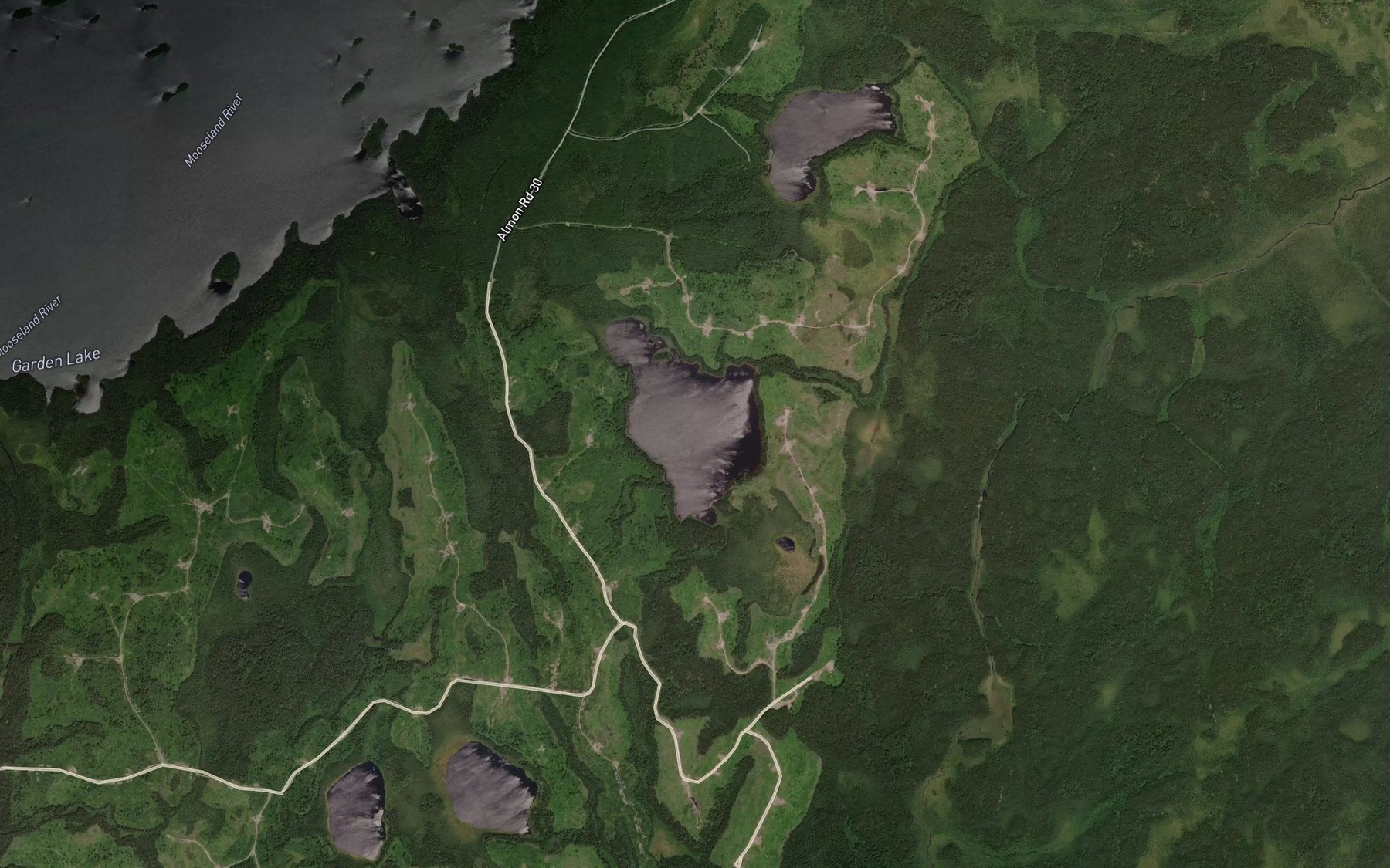 Satellite map of the Cressey Lake