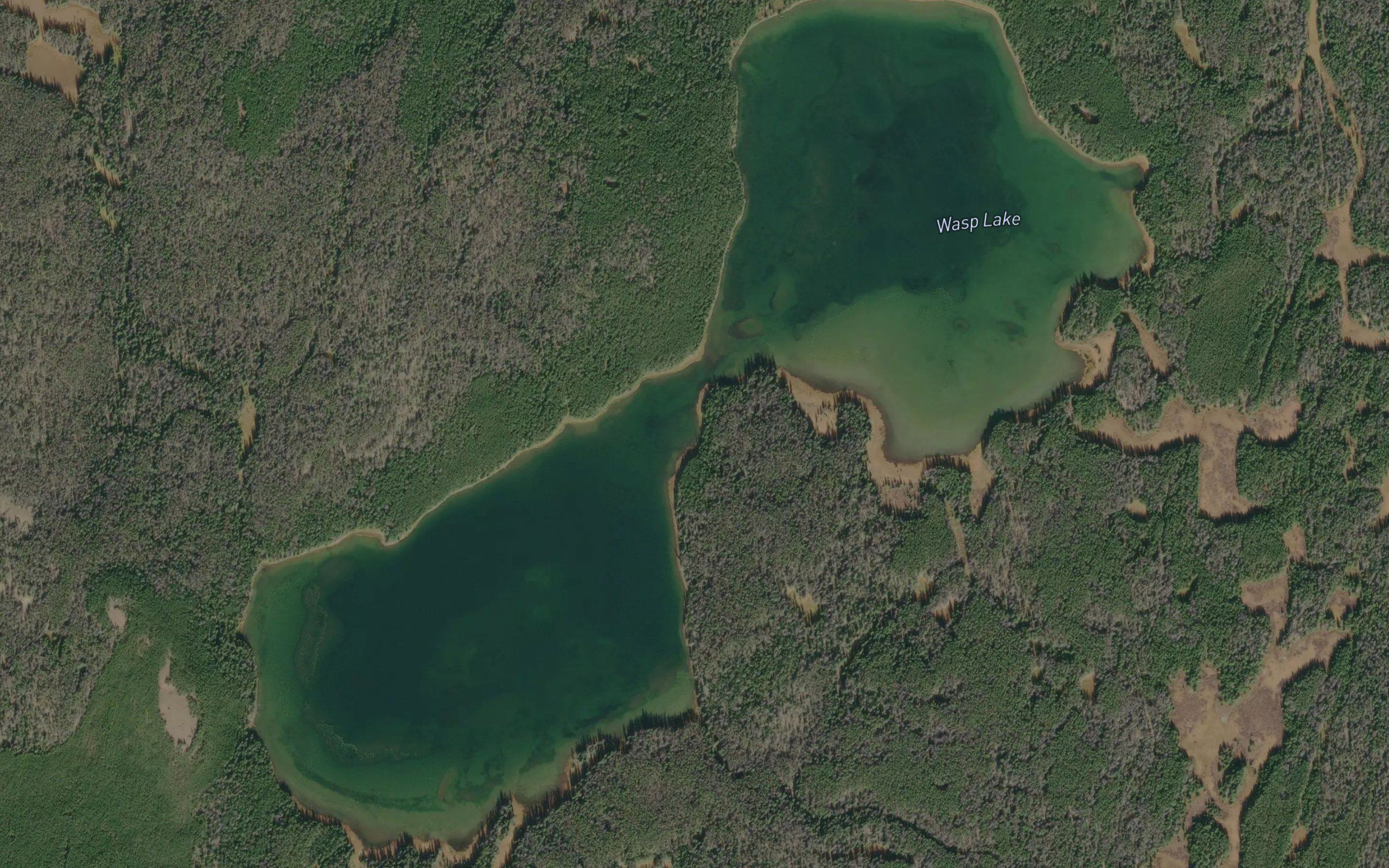 Wasp Lake