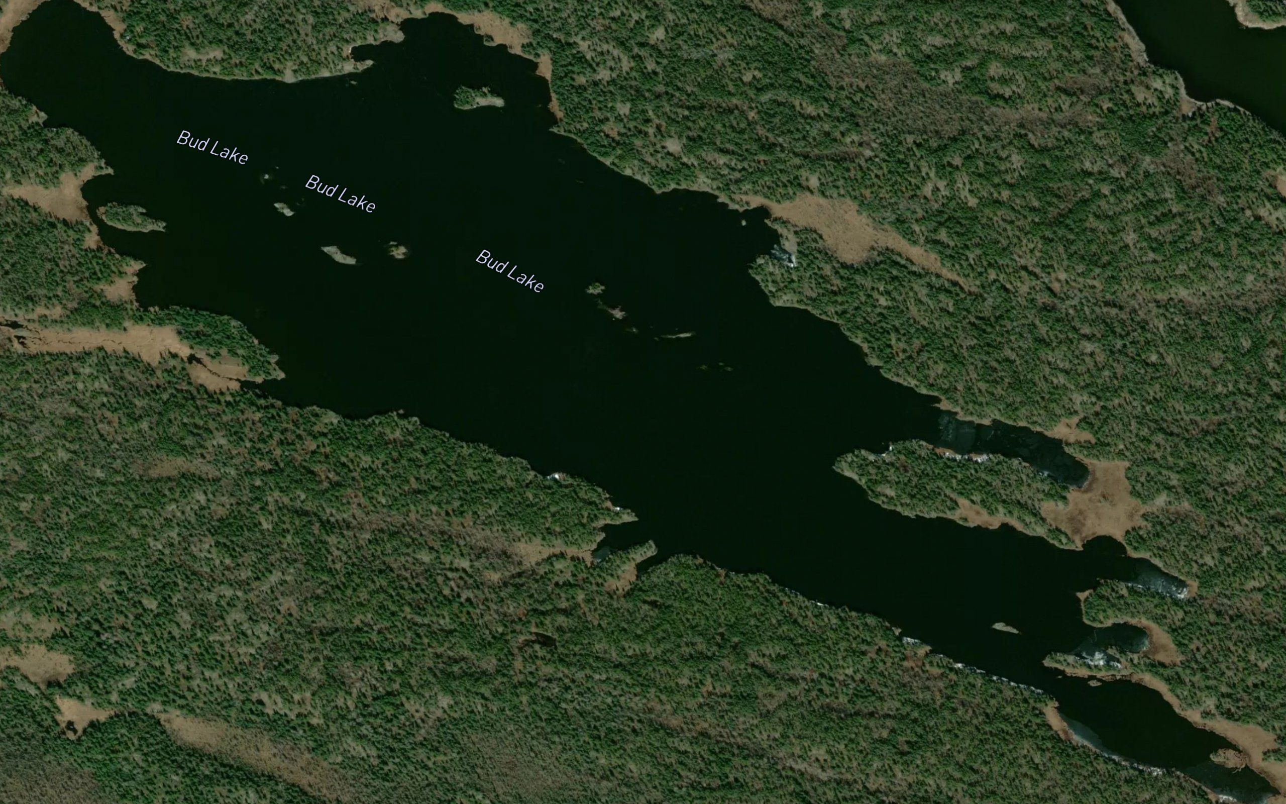 Bud Lake