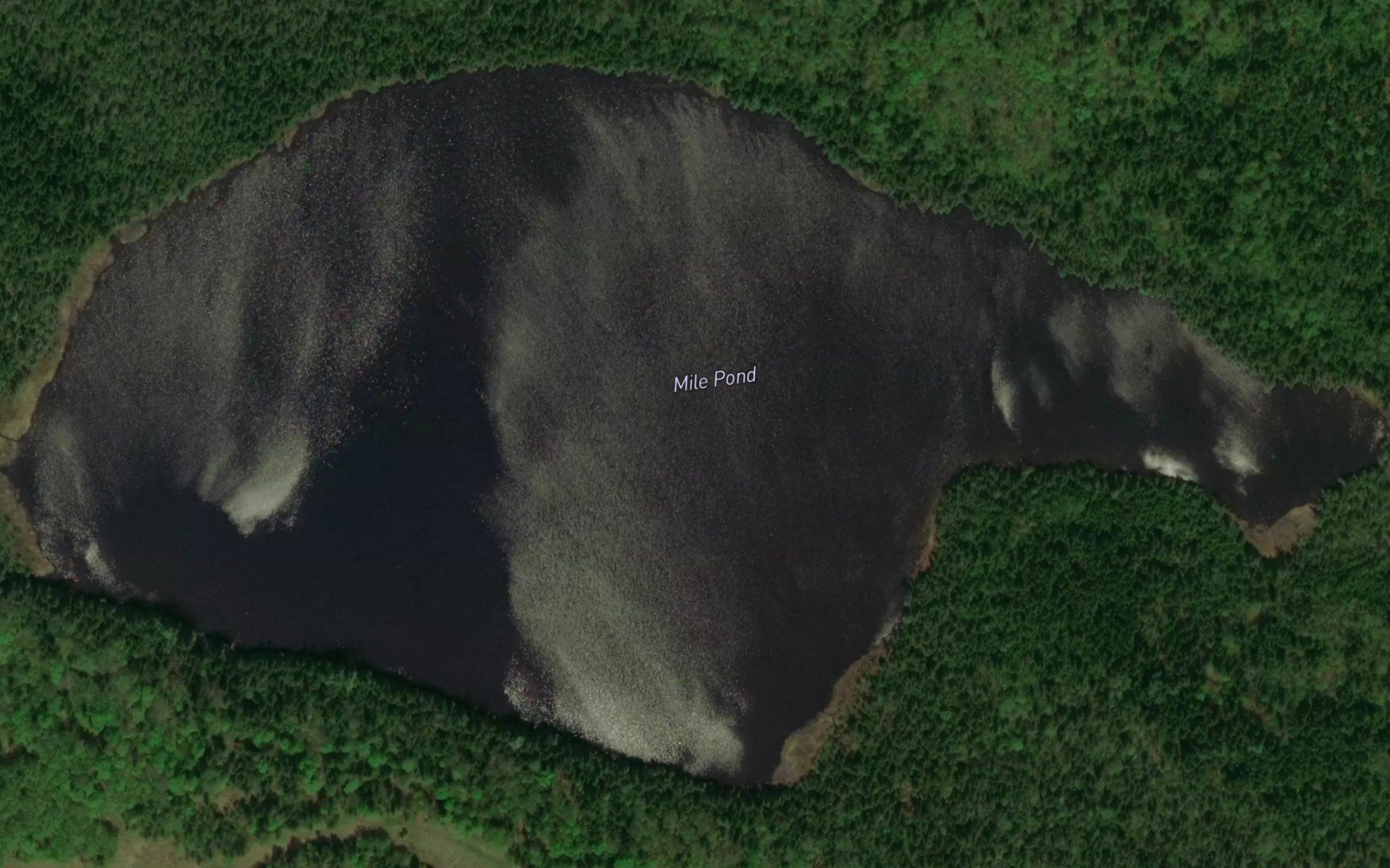 Mile Pond