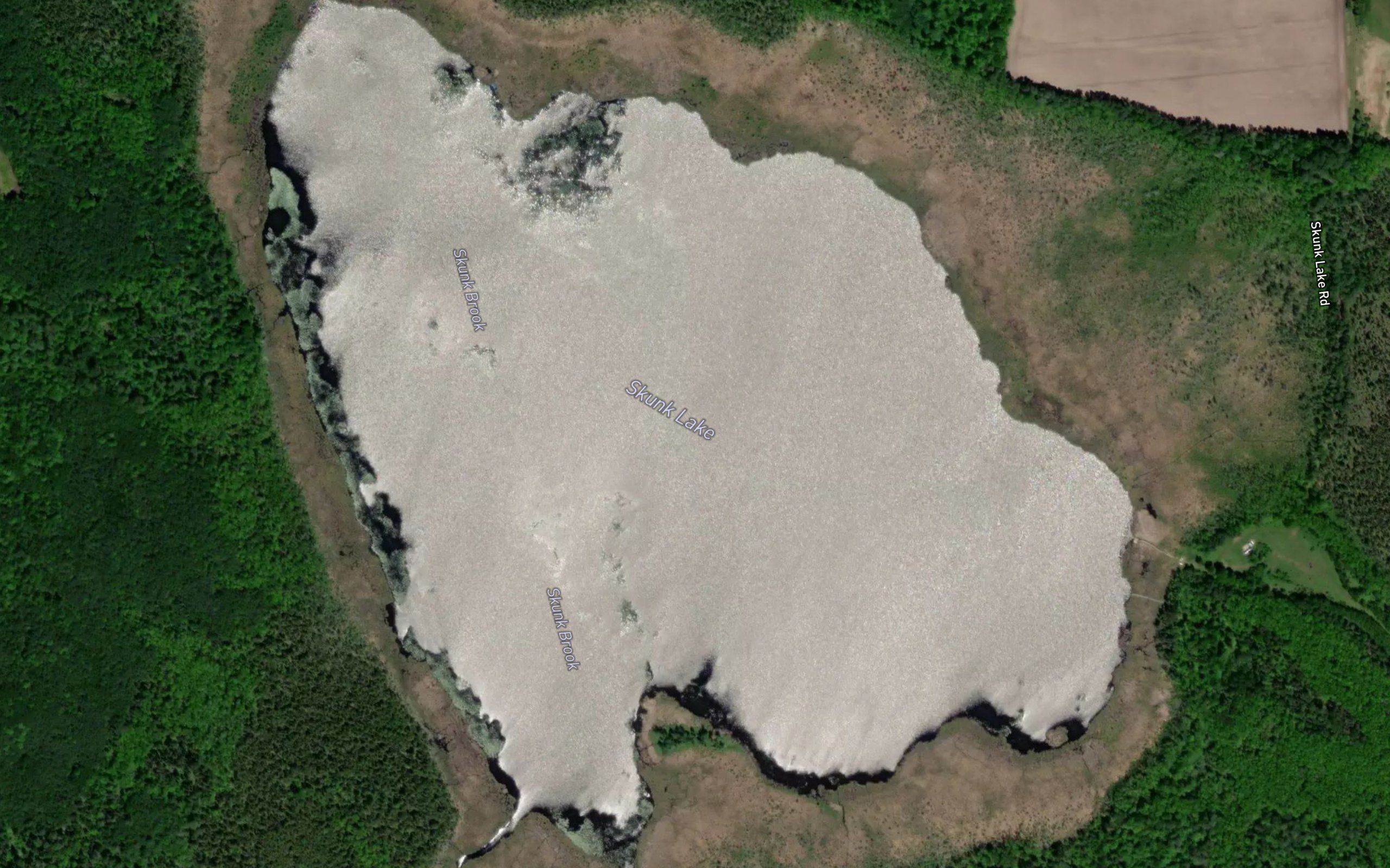 Skunk Lake