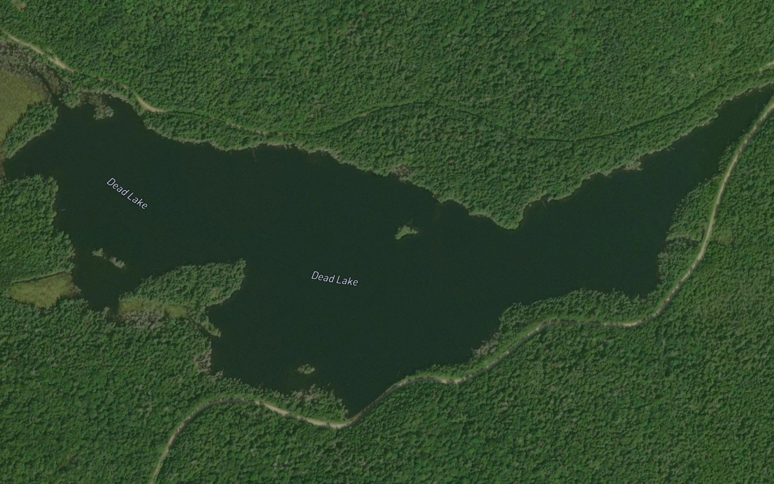Dead Lake