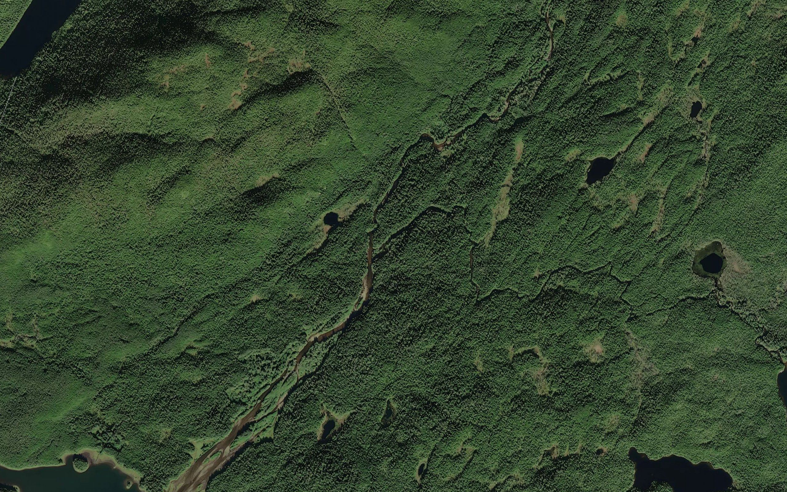 Hasselborg Creek