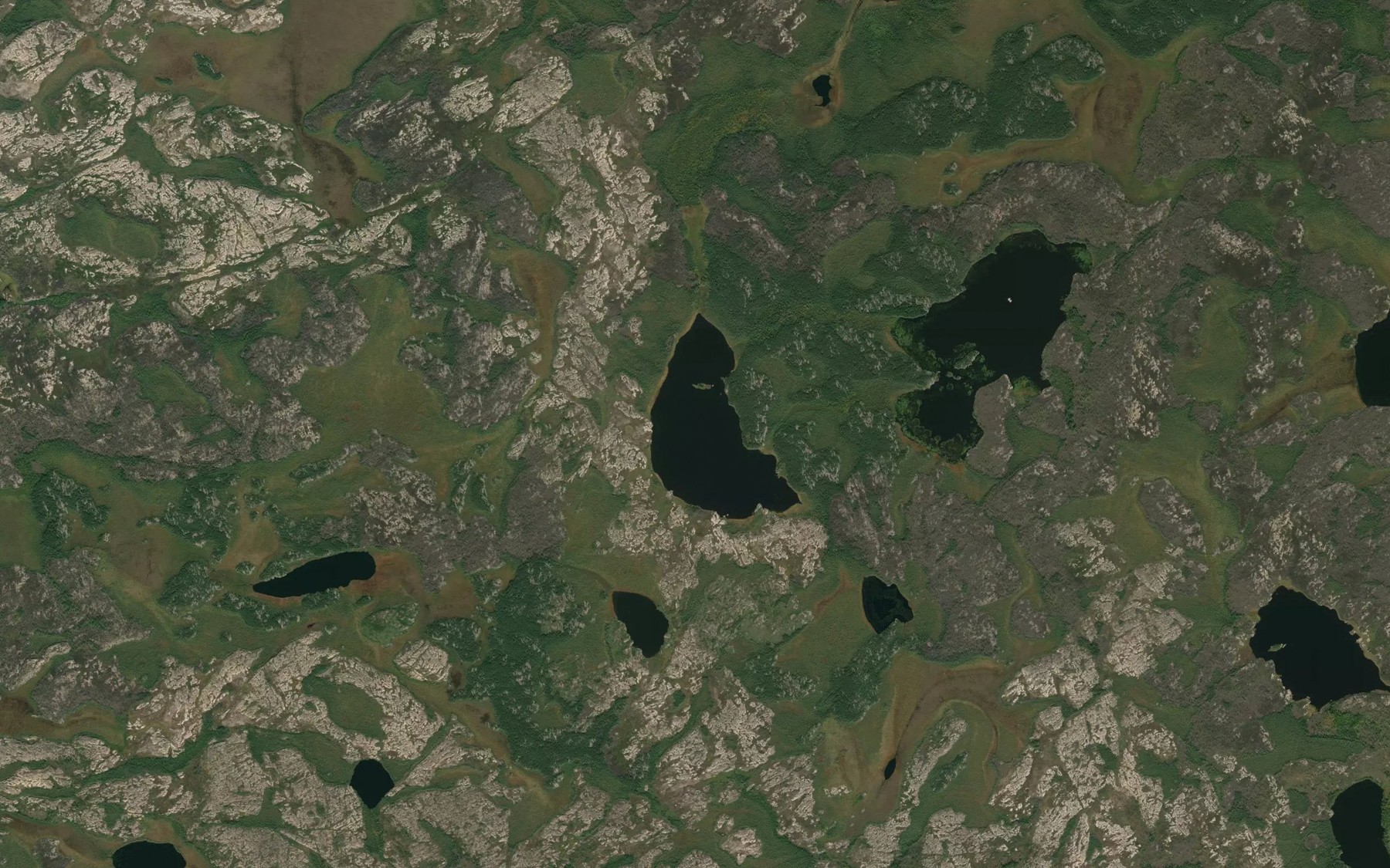 Satellite map of the Greenlay Lake