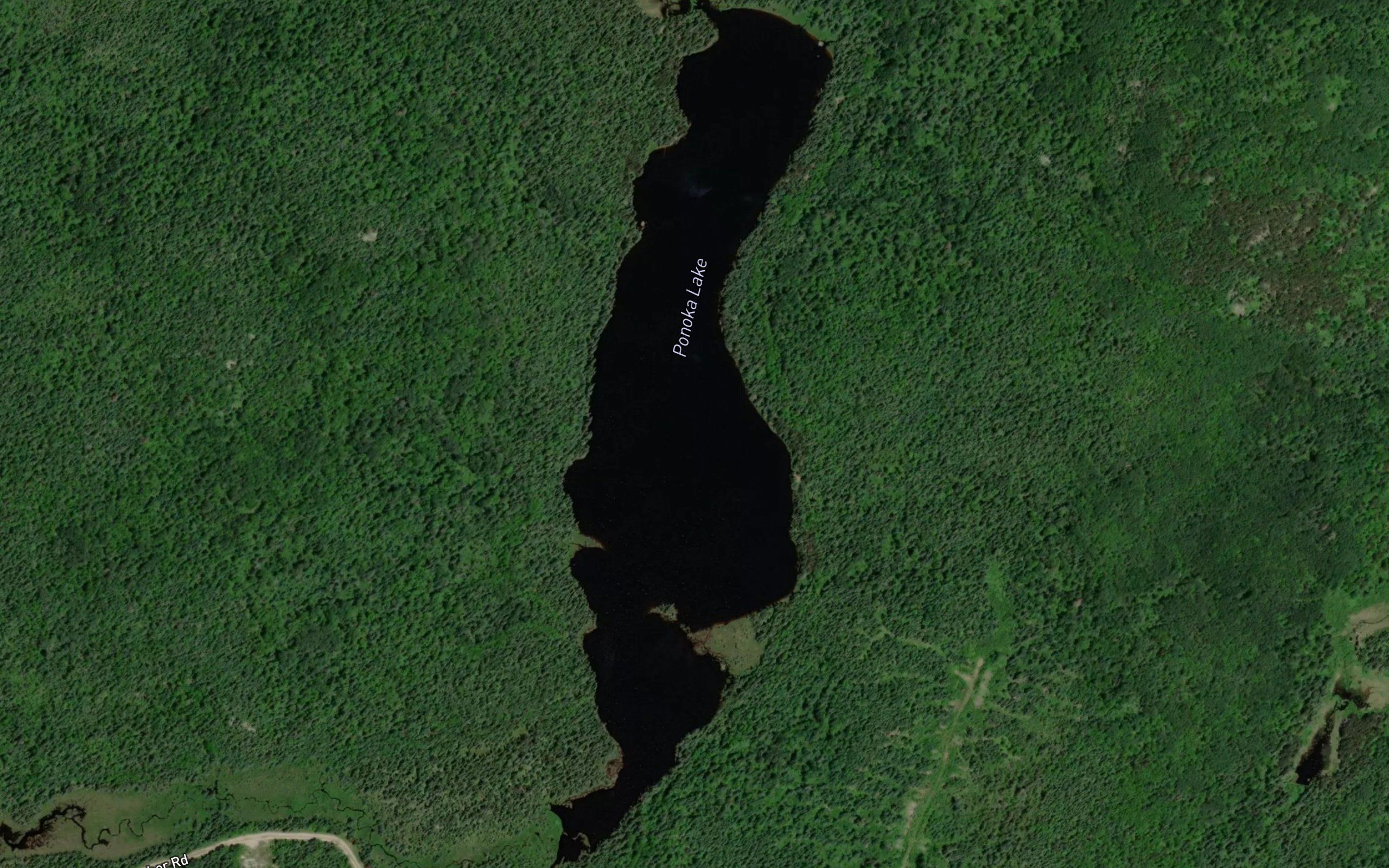 Ponoka Lake