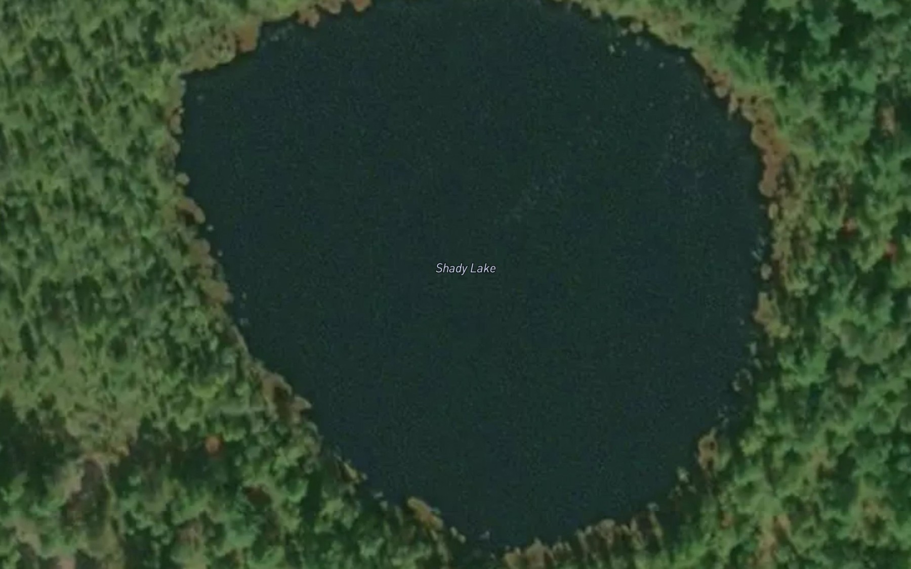 Satellite map of the Shady Lake