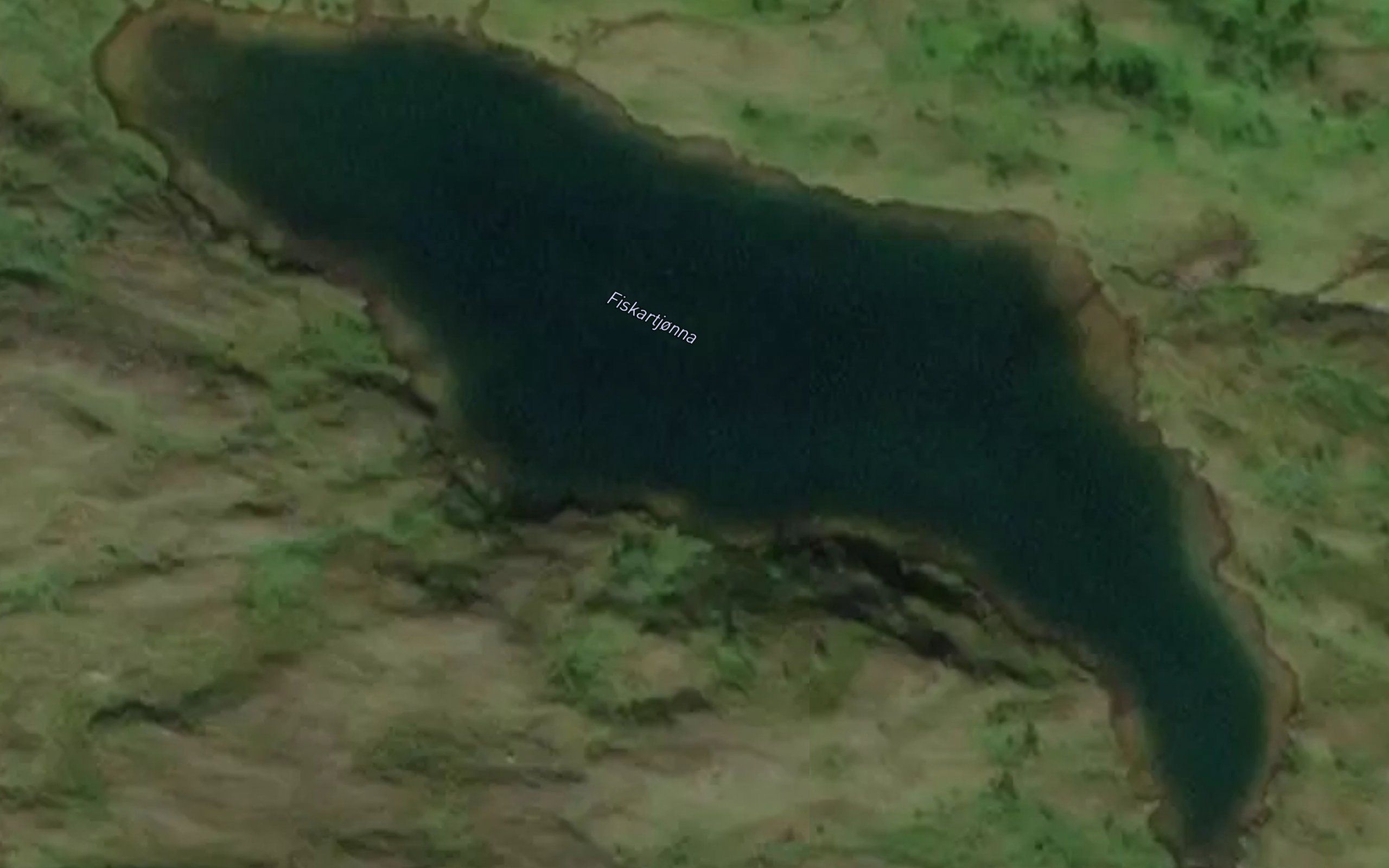Fiskartjonna