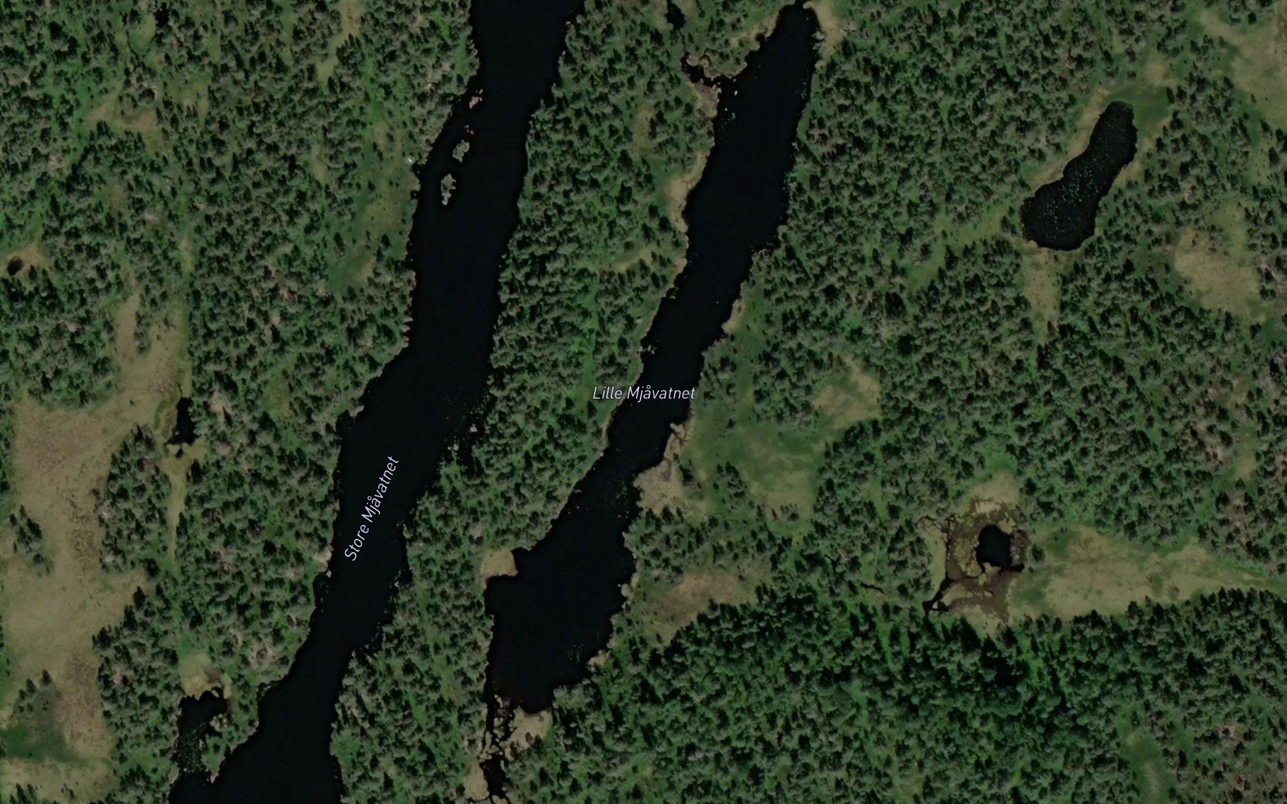 Mjavatnet,l