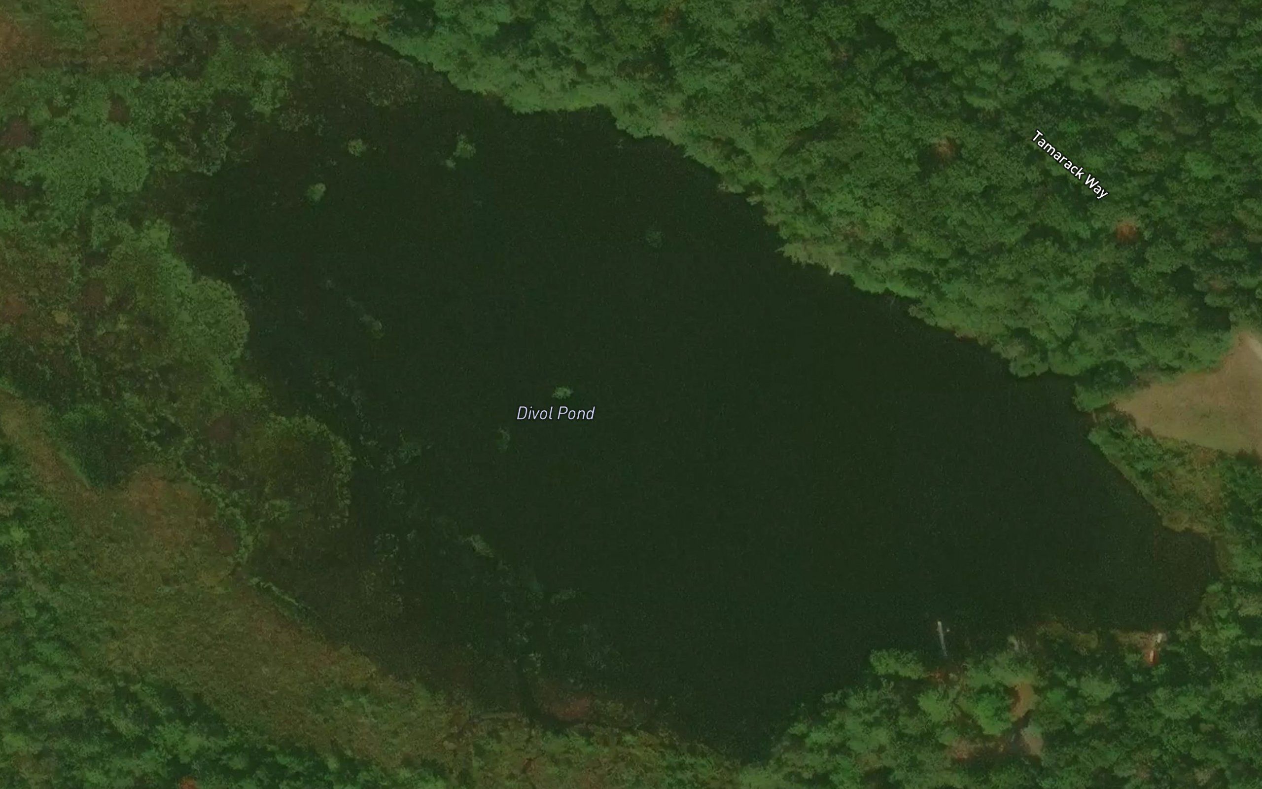 Divol Pond