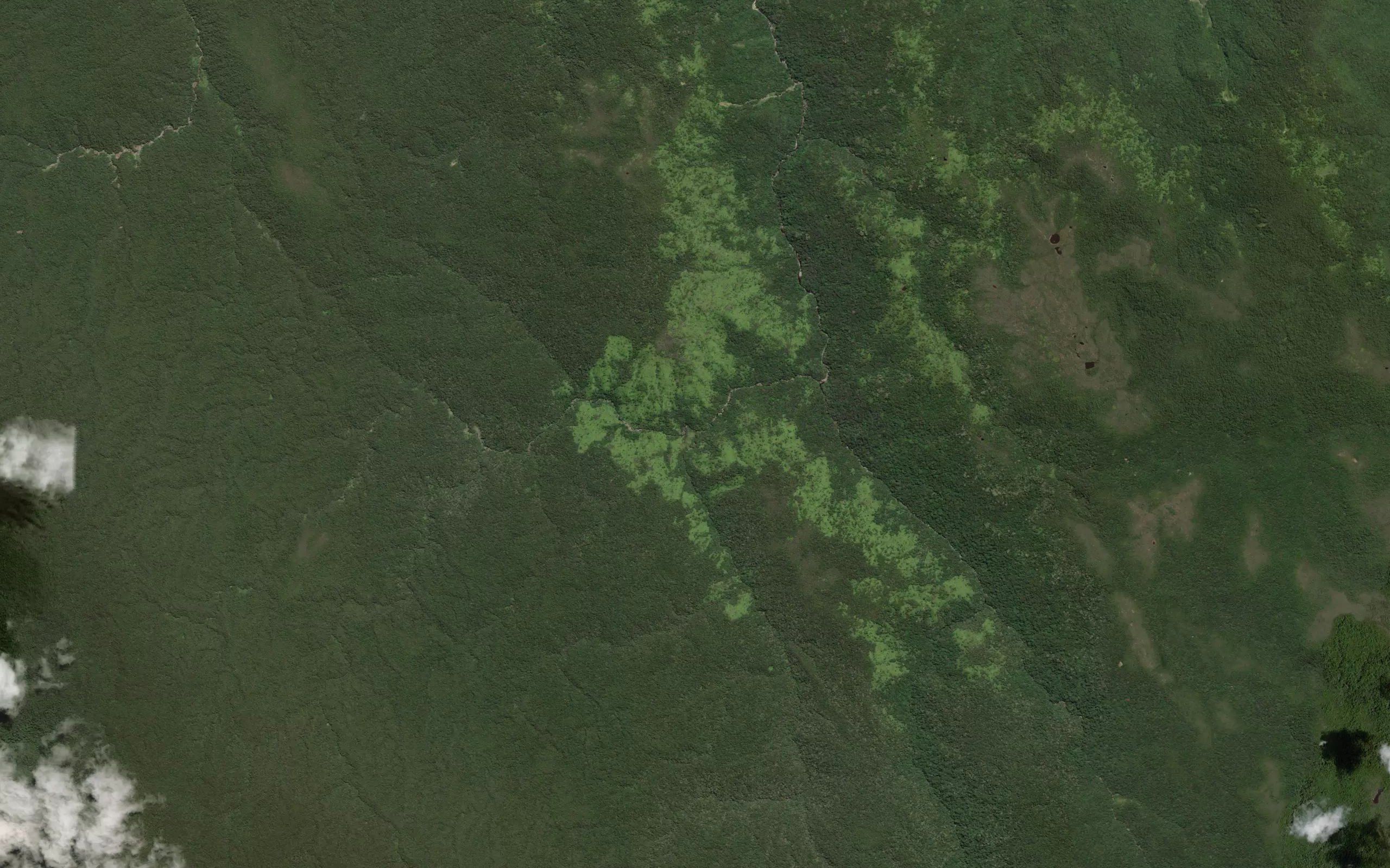 Koro Kawaralipa