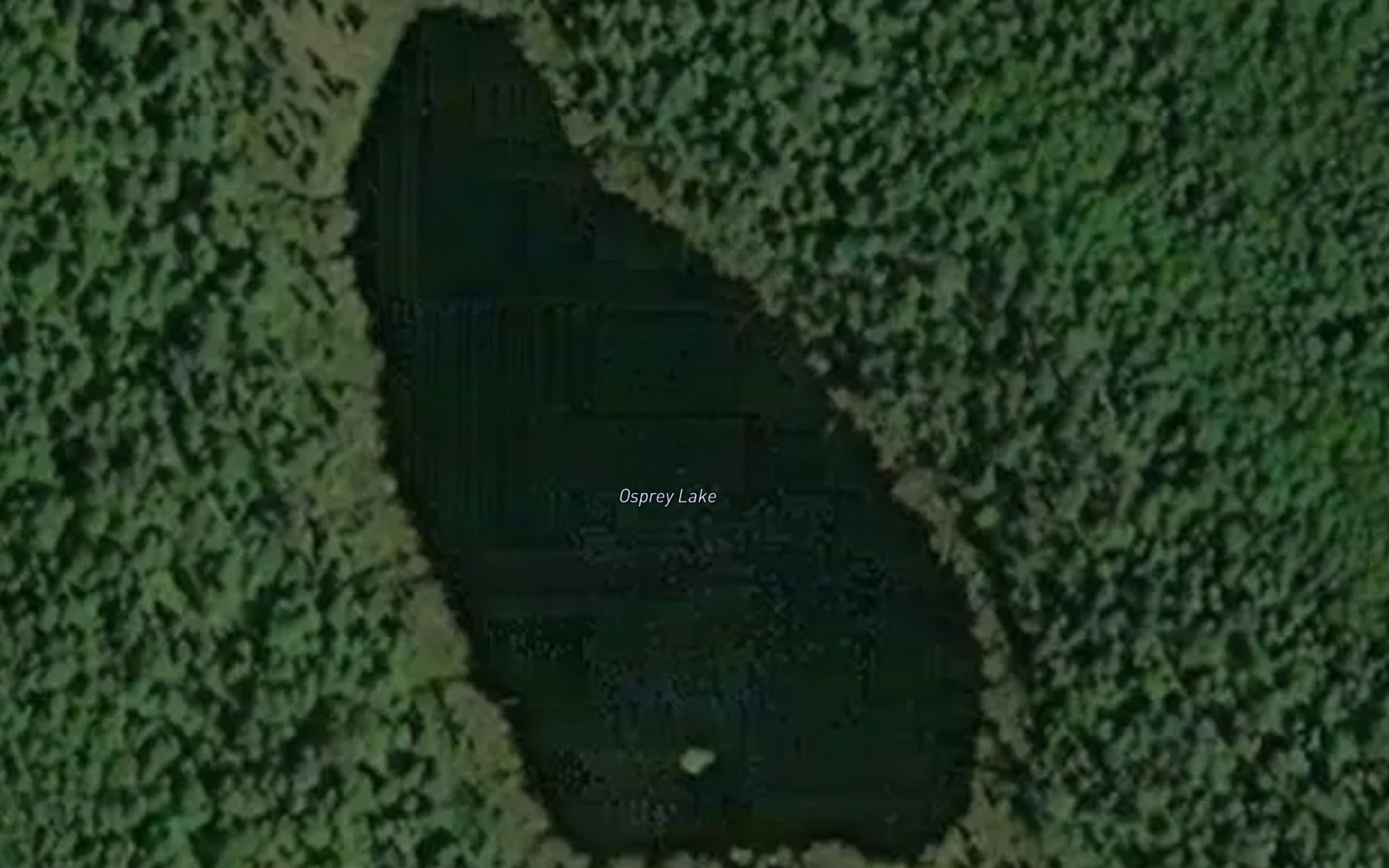 Satellite map of the Osprey Lake