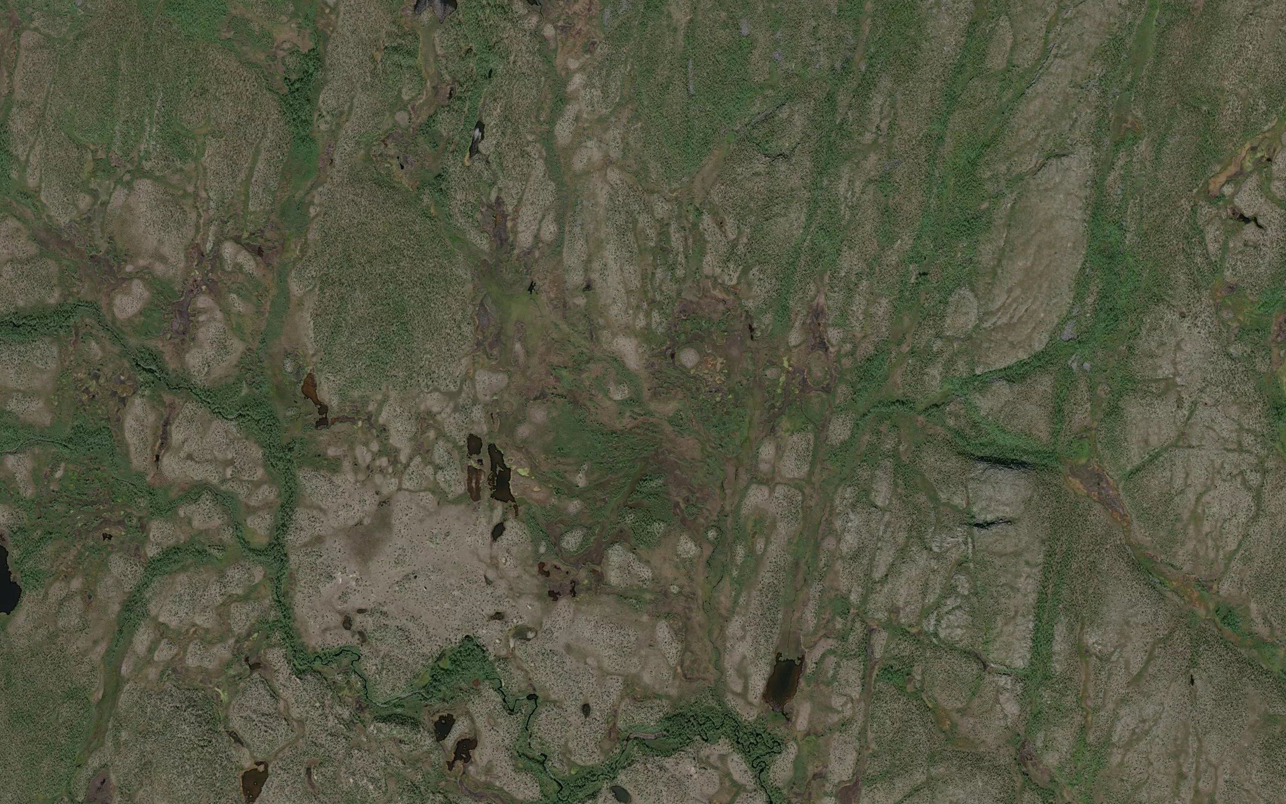 Cuobburanejakka