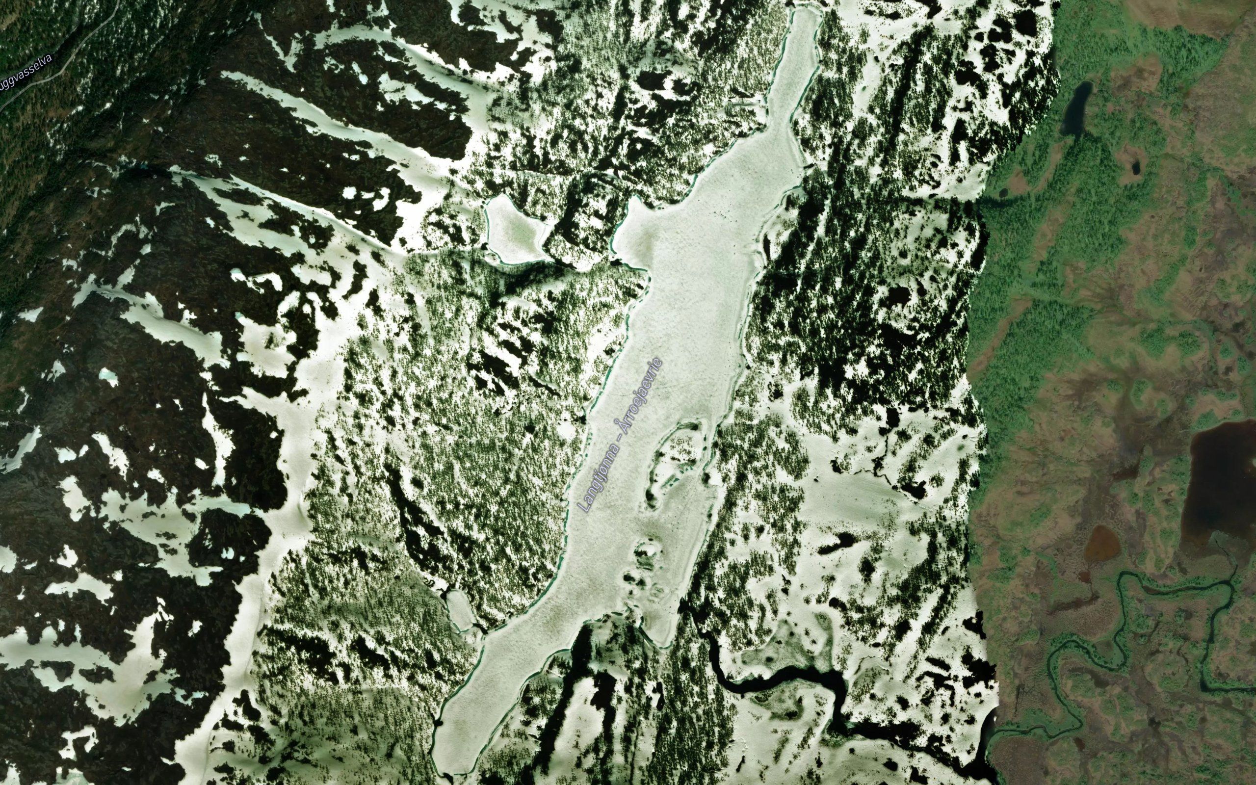 Langtjorna