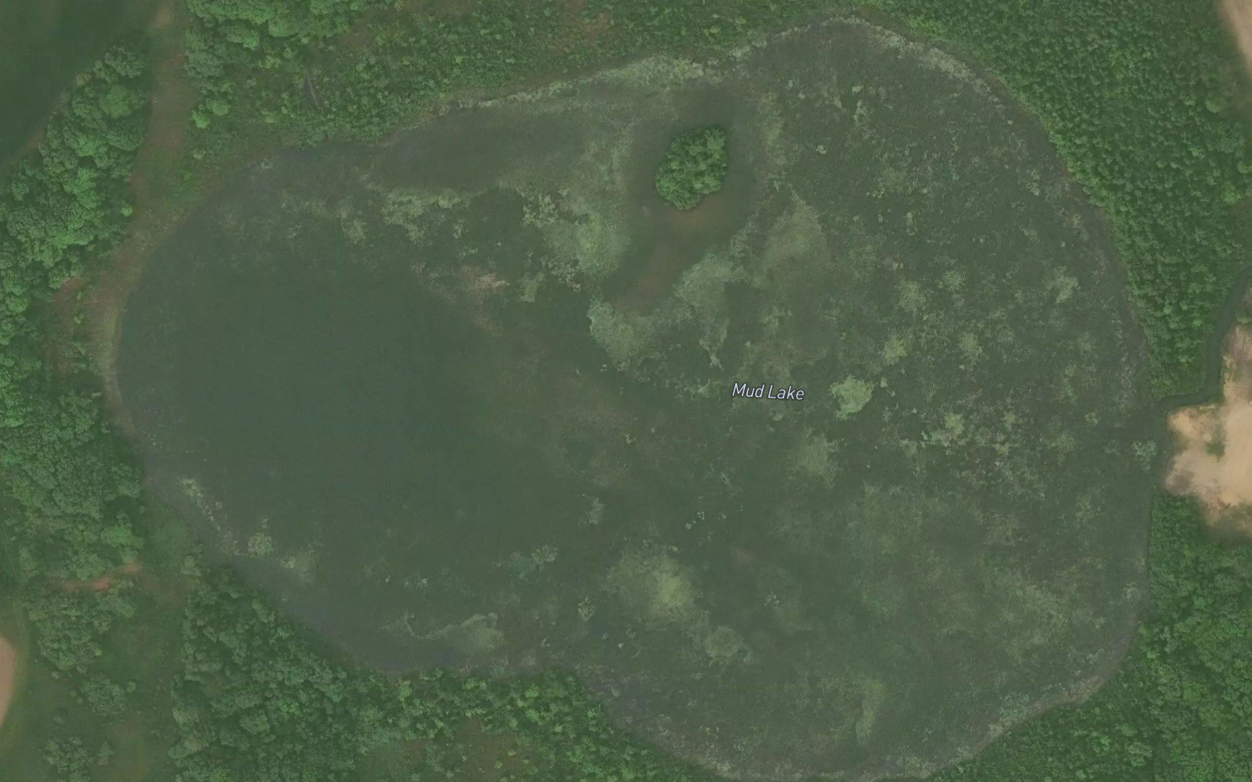 Mud Lake