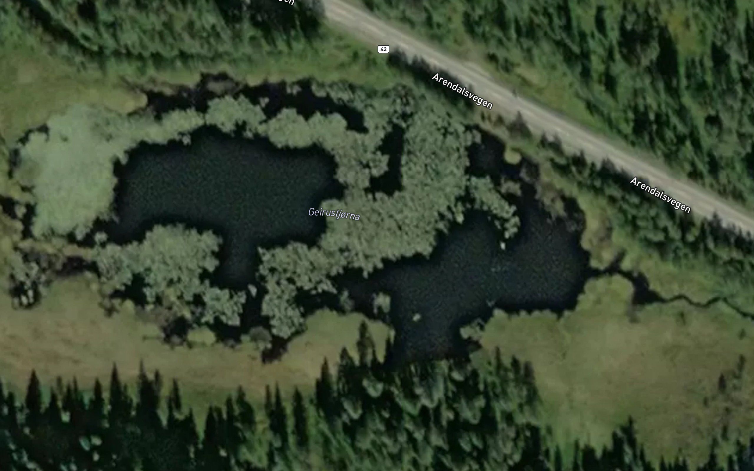 Gjerustjonn