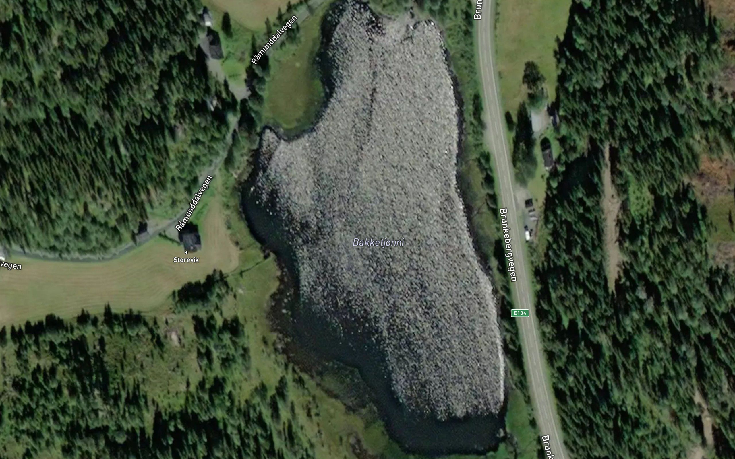 Bakketjorn